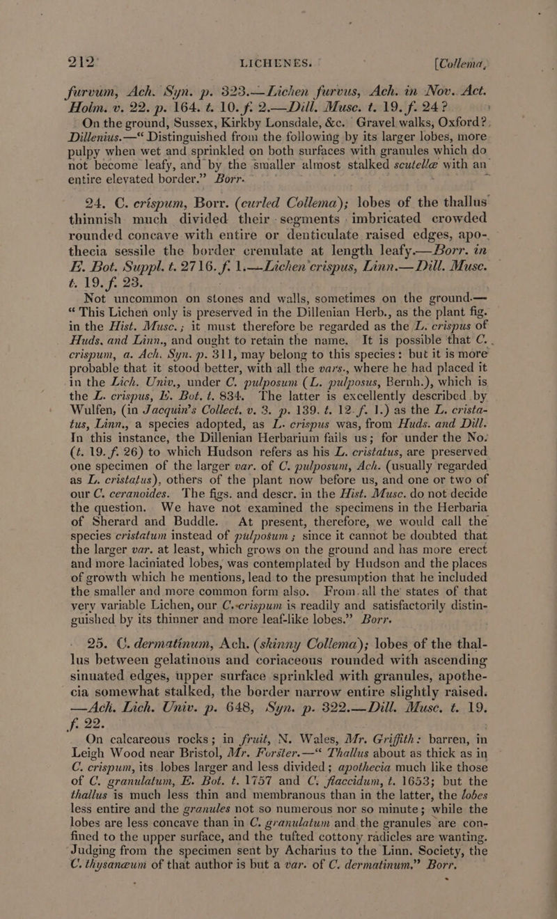furvum, Ach. Syn. p. 323.—Lichen furvus, Ach. in Nov. Act. Holm. v. 22. p. 164. 4.10. f6 2.—Dill. Muse. t. 19. f. 24? y Dillenius.—* Distinguished from the following by its larger lobes, more pulpy when wet and sprinkled on both surfaces with eranules which do not become leafy, and by the smaller almost stalked seutelle with an entire elevated border.” Borr. 24. C. crispum, Borr. (curled Collema); lobes of the thallus: thinnish much divided their segments imbricated crowded thecia sessile the border crenulate at length leafy.—Borr. in Ei. Bot. Suppl. t. 2716. J 1.—-Lichen'crispus, Linn.— Dill. Muse. t. 19. fi 23. Not uncommon on stones and walls, sometimes on the eround.— “This Lichen only is preserved in the Dillenian Herb. ., as the plant fig. in the Hist. Musc.; it must therefore be regarded as the L. crispus of Huds, and Linn., and ought to retain the name. It is possible that C. . crispum, a. Ach. Syn. p. 311, may belong to this species: but it is more probable that it stood better, with all the vars., where he had placed it in the Lich, Univ., under C. pulposum (L. pulposus, Bernh.), which is the L. crispus, Ls. Bot. t. 834. The latter is excellently described _by Wulfen, (in Jacquin’s Collect. v. 3. p. 139. t. 12. f. 1.) as the L. crista- tus, Linn., a species adopted, as L. crispus was, from Huds. and Dill. In “this ietande. the Dillenian Herbarium fails us; for under the No. (4. 19. f. 26) to which Hudson refers as his L. cristatus, are preserved. one specimen of the larger var. of C. pulposum, Ach. (usually regarded. as L. cristatus), others of the plant now before us, and one or two of our C. ceranoides. The figs. and descr. in the Hist. Musc. do not decide the question. We have not examined the specimens in the Herbaria of Sherard and Buddle. At present, therefore, we would call the species cristatum instead of pulposum ; since it cannot be doubted that the larger var. at least, which grows on the ground and has more erect and more laciniated lobes, was contemplated by Hudson and the places of growth which he mentions, lead to the presumption that he included the smaller and more common form also. From.all the’ states of that very variable Lichen, our C.-crispum is readily and satisfactorily distin- guished by its thinner and more leaf-like lobes.” Borr, 25. ©. dermatinum, Ach. (skinny Collema); lobes of the thal- lus between gelatinous and coriaceous rounded with ascending sinuated edges, upper surface sprinkled with granules, apothe- cia somewhat stalked, the berder narrow entire slightly raised. —Ach. Lich. Univ. p. 648, Syn. p. 322.—Dill. Muse. t. 19. Fu 22. On calcareous rocks; in fruit, N. Wales, Mr. Griffith: barren, in Leigh Wood near Bristol, Mr. Forster.—‘ Thallus about as thick as in C. crispum, its lobes larger and less divided ; apothecia much like those of C. granulatum, E. Bot. t. 1757 and C. “flaccidum, t. 1653; but the thallus is much less thin and membranous than in the latter, the odes less entire and the granules not so numerous nor so minute; while the lobes are less concave than in C. granulatum and. the gr anules are con- fined to the upper surface, and the tufted cottony radicles are wanting. Judging from the specimen sent by Acharius to the Linn. Society, the C. thysaneum of that author is but a var. of C. dermatinum.” Borr. .