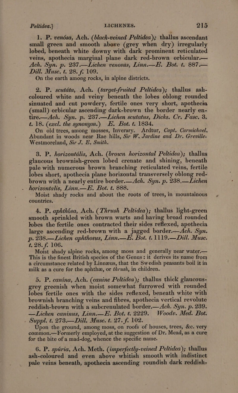 1. P. vendsa, Ach. (black-veined Peltidea); thallus ascendant small green and smooth above (grey when dry) irregularly lobed, beneath white downy with dark prominent reticulated veins, apothecia marginal plane dark red-brown orbicular.— Ach. Syn. p. 237.—Lichen venosus, Linn.—E. Bot. t. 887.— Dill. Muse, t. 28. f. 109. | | On the earth among rocks, in alpine districts, 2. P. scutdta, Ach. (target-fruited Peltidea); thallus ash- coloured white and veiny beneath the lobes oblong rounded sinuated and cut powdery, fertile ones very short, apothecia (small) orbicular ascending dark-brown the border nearly en- tire.—Ach. Syn. p. 237.—Lichen scutatus, Dicks. Cr. Fase, 3. t. 18. (excl. the synonym.) E. Bot, t. 1834. On old trees, among mosses, Inverary. Ardtur, Capt. Carmichael. Abundant in woods near Rae hills, Sir W. Jardine and Dr. Greville. Westmoreland, Sir J. £. Smith. 3. P. horizontdlis, Ach. (brown horizontal Peltidea); thallus glaucous brownish-green lobed crenate and shining, beneath pale with numerous brown branching reticulated veins, fertile lobes short, apothecia plane horizontal transversely oblong red- brown with a nearly entire border.—Ach. Syn. p. 238,— Lichen horizontalis, Linn.—E. Bot. t. 888. Moist shady rocks and about the roots of trees, in mountainous countries. 4. P. aphthésa, Ach. (Thrush Peltidea); thallus light-green smooth sprinkled with brown warts and having broad rounded lobes the fertile ones contracted their sides reflexed, apothecia large ascending red-brown with a jagged border.—Ach. Syn. p. 238.—Lichen aphthosus, Linn.—H. Bot. t. 1119.—Dill. Muse. t, 28. f. 106. ; Moist shady alpine rocks, among moss and generally near water.— This is the finest British species of the Genus: it derives its name from a circumstance related by Linneus, that the Swedish peasants boil it in milk as a cure for the aphthz, or thrush, in children. 5. P. canina, Ach. (canine Peltidea); thallus thick glaucous- grey greenish when moist somewhat furrowed with rounded lobes fertile ones with the sides reflexed, beneath white with brownish branching veins and fibres, apothecia vertical revolute reddish-brown with a subcrenulated border.—Ach. Syn. p. 239. —Lichen caninus, Linn.—E. Bot. t. 2229. Woodv. Med. Bot. - Suppl. t. 273.—Dill. Muse. t. 27. f. 102. Upon the ground, among moss, on roofs of houses, trees, &amp;c. very common.—Formerly employed, at the suggestion of Dr. Mead, as a cure for the bite of a mad-dog, whence the specific name. 6. P. spiria, Ach. Meth. (imperfectly-veined Peltidea); thallus ash-coloured and even above whitish smooth with indistinct pale veins beneath, apothecia ascending roundish dark reddish-