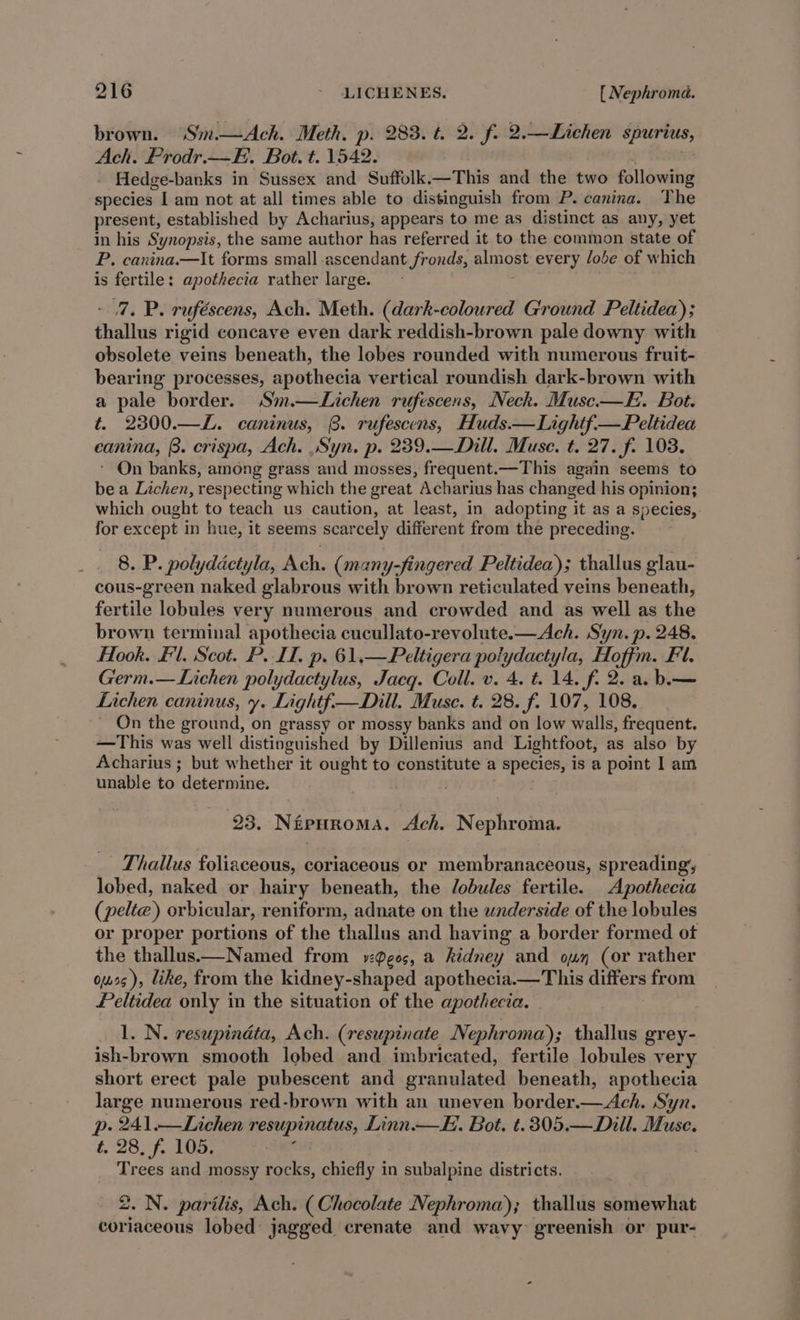 brown. (“Sim.—Ach. Meth. p. 283. t. 2. f. 2.—Lichen spurius, Ach. Prodr.— FE. Bot. t. 1542. - Hedge-banks in Sussex and Suffolk.—This and the two following species I am not at all times able to distinguish from P. canina. The present, established by Acharius, appears to me as distinct as any, yet in his Synopsis, the same author has referred it to the common state of P. canina.—It forms small ascendant fronds, almost every lobe of which is fertile: apothecia rather large. 7, P. ruféscens, Ach. Meth. (dark-coloured Ground Peltidea); thallus rigid concave even dark reddish-brown pale downy with obsolete veins beneath, the lobes rounded with numerous fruit- bearing processes, apothecia vertical roundish dark-brown with a pale border. Sm.—Lichen rufescens, Neck. Muse—E. Bot. t. 2300.—L. caninus, 8. rufescens, Huds.—Lightf—Peltidea eanina, 8. crispa, Ach. Syn. p. 239.—Dill. Muse. t. 27. f. 103. * On banks, among grass and mosses, frequent.—This again seems to be a Lichen, respecting which the great Acharius has changed his opinion; which ought to teach us caution, at least, in adopting it as a species, for except in hue, it seems scarcely different from the preceding. 8. P. polydactyla, Ach. (many-fingered Peltidea); thallus glau- cous-green naked glabrous with brown reticulated veins beneath, fartile lobules very numerous and crowded and as well as the brown terminal apothecia cucullato-revolute.—Ach. Syn. p. 248. Hook. Fl. Scot. P. II, p. 61.—Peltigera polydactyla, Hoffm. Fl. Germ.— Lichen polydactylus, Jacq. Coll. v. 4. t. 14. f. 2. a. b.— Lichen caninus, y. Lightf—Dill. Muse. t. 28. f. 107, 108. On the ground, on grassy or mossy banks and on low walle) frequent. —This was well distinguished by Dillenius and Lightfoot, as also by Acharius ; but whether it ought to constitute a species, is a point I am unable to determine. . 23. NipHroma. Ach. Nephroma. Thallus foliaceous, coriaceous or membranaceous, spreading, lobed, naked or hairy beneath, the lobules fertile. Apothecia (pelt) orbicular, reniform, adnate on the underside of the lobules or proper portions of the thallus and having a border formed ot the thallus—Named from gos, a Riliney)’ and ouy (or rather ous), like, from the kidney-shaped apothecia.— This pce from Peltidea only in the situation of the apothecia. | 1. N. resupindta, Ach. (resupinate Nephroma); thallus grey- ish-brown smooth lobed and imbricated, fertile lobules very short erect pale pubescent and granulated beneath, apothecia large numerous red-brown with an uneven border.—Ach. Syn. pe 941,—Lichen resupinatus, Linn.—FE.. Bot. t.305.— Dill. Muse. t. 28. f. 105. | Trees and mossy rocks, chiefly in subalpine districts. 2. N. parilis, Ach. (Chocolate Nephroma); thallus aoakeseiias coriaceous lobed jagged crenate and wavy greenish or pur-