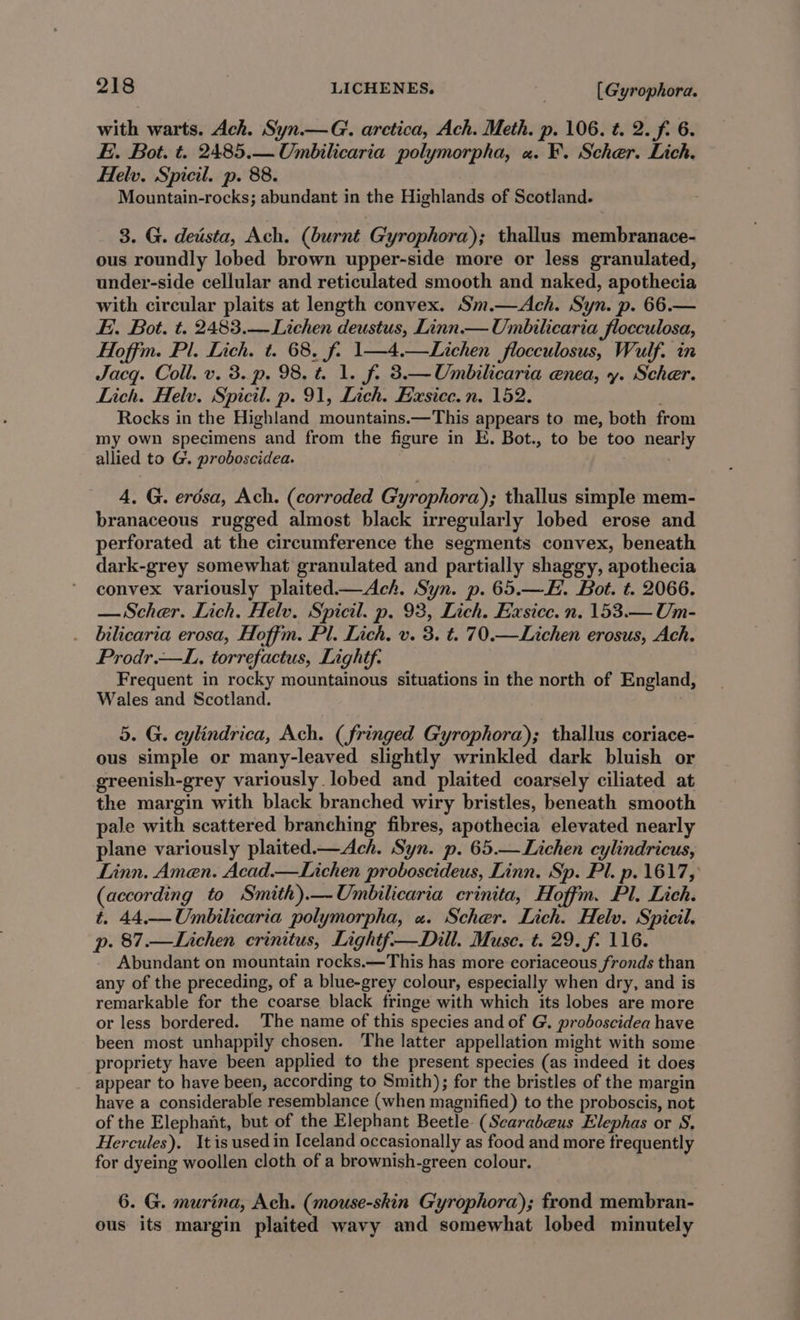 with warts. Ach. Syn.—G‘. arctica, Ach. Meth. p. 106. t. 2. f. 6. Ei. Bot. t. 2485.— Umbilicaria polymorpha, «a. F. Scher. Lich. Helv. Spicil. p. 88. Mountain-rocks; abundant in the Highlands of Scotland. 3. G. deista, Ach. (burnt Gyrophora); thallus membranace- ous roundly lobed brown upper-side more or less granulated, under-side cellular and reticulated smooth and naked, apothecia with circular plaits at length convex. Sm.—Ach. Syn. p. 66.— Fi. Bot. t. 2483.— Lichen deustus, Linn.— Umbilicaria flocculosa, Hoffm. Pl. Lich. t. 68, f. 1—4.—Lichen flocculosus, Wulf. in Jacq. Coll. v. 3. p. 98. t. 1. f2 3.—Umbilicaria enea, y. Scher. Lich. Helv. Spicil. p. 91, Lich. Easice.n. 152. Rocks in the Highland mountains.—This appears to me, both from my own specimens and from the figure in E. Bot., to be too nearly allied to G. proboscidea. / 4. G. erdsa, Ach. (corroded Gyrophora); thallus simple mem- branaceous rugged almost black irregularly lobed erose and perforated at the circumference the segments convex, beneath dark-grey somewhat granulated and partially shaggy, apothecia convex variously plaited—Ach. Syn. p. 65.—EH. Bot. t. 2066. — Scher. Lich. Helv. Spicil. p. 93, Lich. Exsice. n, 153.— Um- bilicaria erosa, Hoffm. Pl. Lich, v. 3. t. 70.—Lichen erosus, Ach. Prodr.—L., torrefactus, Lighéf. Frequent in rocky mountainous situations in the north of England, Wales and Scotland. 5. G. cylindrica, Ach. (fringed Gyrophora); thallus coriace- ous simple or many-leaved slightly wrinkled dark bluish or greenish-grey variously. lobed and plaited coarsely ciliated at the margin with black branched wiry bristles, beneath smooth pale with scattered branching fibres, apothecia elevated nearly plane variously plaited— Ach. Syn. p. 65.— Lichen cylindricus, Linn. Amen. Acad.—Lichen proboscideus, Linn. Sp. Pl. p. 1617, (according to Smith).—Unmbilicaria crinita, Hoffm. Pl. Lich. t. 44.._Umbilicaria polymorpha, «. Scher. Lich. Helv. Spicil. p. 87.—Lichen ecrinitus, Lightf—Dill. Muse. t. 29. f- 116. Abundant on mountain rocks. —This has more coriaceous fronds than any of the preceding, of a blue-grey colour, especially when dry, and is remarkable for the coarse black fringe with which its lobes are more or less bordered. The name of this species and of G. prodoscidea have been most unhappily chosen. The latter appellation might with some propriety have been applied to the present species (as indeed it does appear to have been, according to Smith); for the bristles of the margin have a considerable resemblance (when magnified) to the proboscis, not of the Elephant, but of the Elephant Beetle (Scarabeus Elephas or S. Hercules). Itis used in Iceland occasionally as food and more frequently for dyeing woollen cloth of a brownish-green colour. 6. G. murina, Ach. (mouse-skin Gyrophora); frond membran- ous its margin plaited wavy and somewhat lobed minutely