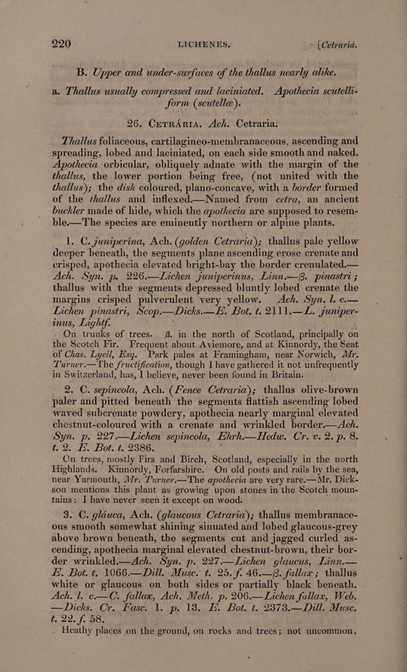 B. Upper and under-surfaces of the thallus nearly alike. a. Thallus usually compressed and laciniated. Apothecia scutelli- form (scutelle). 26. CerrAriaA. Ach. Cetraria: Thatlus foliaceous, cartilagineo-membranaceous, ascending and spreading, lobed and laciniated, on each side smooth and naked. Apothecia orbicular, obliquely adnate with the margin of the thallus, the lower portion being free, (not united with the thallus); the disk coloured, plano-concave, with a border formed of the thallus and inflexed.—Named from cetra, an ancient buckler made of hide, which the apothecita are supposed to resem- ble.—The species are eminently northern or alpine plants. 1. C. juniperina, Ach. (golden Cetraria); thallus pale yellow deeper beneath, the segments plane ascending erose crenate and crisped, apothecia elevated bright-bay the border crenulated.— Ach. Syn. p, 226.—Lichen juniperinus, Linn.—. pinastri ; thallus with the segments depressed bluntly lobed crenate the margins crisped pulverulent very yellow. Ach. Syn. l. e.— Lichen pinastri, Scop. — Dicks. —H. Bot. t. 2111,—L. HED: inus, Lightf. On trunks of trees. 8. in the north of Scotland, principally on the Scotch Fir. Frequent about Aviemore, and at Kinnordy, the Seat of Chas. Lyell, Esq. Park pales at Framingham, near Norwich, Mr. Lurner.— The fructification, though I have gathered it not unfrequently in Switzerland, has, I believe, never been found in Britain: 2. C. sepincola, Ach. (Fence Cetraria); thallus olive-brown paler and pitted beneath the segments flattish ascending lobed waved subcrenate powdery, apothecia nearly marginal elevated chestnut-coloured with a crenate and wrinkled border.— Ach. Syn. p. 227.—Lichen sepincola, Ehrh. —Hedw. C7. v. 2. p. 8. t. 2. FE. Bot. t. 2386. On trees, mostly Firs and Birch, Scotland, especially in the north Highlands. Kinnordy, Forfarshire. On old posts and rails by the sea, near Yarmouth, A/r. T'urner.—The apothecia are very rare.— Mr. Dick son mentions this plant as growing upon stones in the Scotch moun- tains: I have never seen it except on wood. 3. C. glauca, Ach. (glaucous Cetraria); thallus membranace- ous smooth somewhat shining sinuated and lobed glaucous-grey above brown beneath, the segments cut and jagged curled as- cending, apothecia marginal elevated chestnut-brown, their bor- der wrinkled.—Ach. Syn. p. 227.—Lichen glaucus, Linn.— #, Bot. t, 1066.— Dill. Muse. t. 25. f. 46.—f. fallax ; thallus white or glaucous on both sides or partially black beneath. Ach. l. e.—C. fallax, Ach. Meth. p. 206.—Lichen fallax, Web. —Dicks. Cr. Fase. 1. p. 18. H. Bot. t. 2373.—Dill. Muse. t. 22. f. 58. Heathy places on the ground, on rocks and trees; not uncommon,