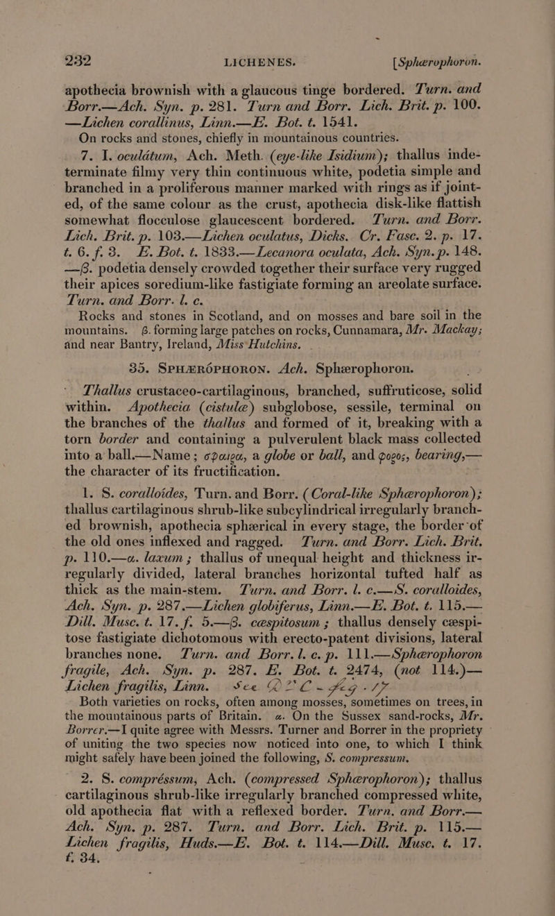 apothecia brownish with a glaucous tinge bordered. Turn. and Borr.—Ach. Syn. p. 281. Turn and Borr, Lich. Brit. p. 100. —Lichen corallinus, Linn. —E. Bot. t. 1541. On rocks and stones, chiefly in mountainous countries. 7. I. oculétum, Ach. Meth. (eye-like Isidium); thallus inde- terminate filmy very thin continuous white, podetia simple and branched in a proliferous manner marked with rings as if joint- ed, of the same colour as the crust, apothecia disk-like flattish somewhat flocculose glaucescent bordered. Zurn. and Borr. Lich. Brit. p. 103.—Lichen oculatus, Dicks.. Cr. Fasc. 2. p. 17. t. 6.7.3. #. Bot. t. 1833.—Lecanora oculata, Ach. Syn.p. 148. —(. podetia densely crowded together their surface very rugged their apices soredium-like fastigiate forming an areolate surface. Turn. and Borr. l. c. Rocks and stones in Scotland, and on mosses and bare soil in the mountains. . forming large patches on rocks, Cunnamara, Mr. Mackay; and near Bantry, Ireland, Miss\Hutchins. | 35. SPHHROPHORON. Ach. Spherophoron. Thallus crustaceo-cartilaginous, branched, suffruticose, solid within. Apothecia (cistule) subglobose, sessile, terminal on the branches of the ¢hallus and formed of it, breaking with a torn border and containing a pulverulent black mass collected into a ball—Name ; cPaigau, a globe or ball, and gogo;, bearing,— the character of its fructification. 1. §S. coralloides, Turn. and Borr. ( Coral-like Spherophoron); thallus cartilaginous shrub-like subcylindrical irregularly branch- ed brownish, apothecia spherical in every stage, the border ‘of the old ones inflexed and ragged. Turn. and Borr. Lich. Brit, p- 110.—«a. laxum ; thallus of unequal height and thickness ir- regularly divided, lateral branches horizontal tufted half as thick as the main-stem. Zurn. and Borr. l. c.—WS. coralloides, Ach, Syn. p. 287.—Lichen globiferus, Linn.—E. Bot. t. 115,— Dill. Muse. t. 17. f. 5.—8. cespitosum ; thallus densely cespi- tose fastigiate dichotomous with erecto-patent divisions, lateral branches none. Zurn. and Borr.l. c. p. 111.—Spherophoron Sragile, Ach. Syn. p. 287. E. Bot. t. 2474, (not 114.)— Lichen fragilis, Linn. See OC. fog -17 Both varieties on rocks, often among mosses, sometimes on trees, in the mountainous parts of Britain. «. On the Sussex sand-rocks, Mr. Borrer.—I quite agree with Messrs. Turner and Borrer in the propriety of uniting the two species now noticed into one, to which I think might safely have been joined the following, S. compressum. 2. S. compréssum, Ach. (compressed Spherophoron); thallus cartilaginous shrub-like irregularly branched compressed white, old apothecia flat witha reflexed border. Turn. and Borr.— Ach. Syn. p. 287. Turn. and Borr. Lich. Brit. p. 115.— fi fragilis, Huds.—E. Bot. t. 114.—Diull. Muse. t. 17. . 34, |