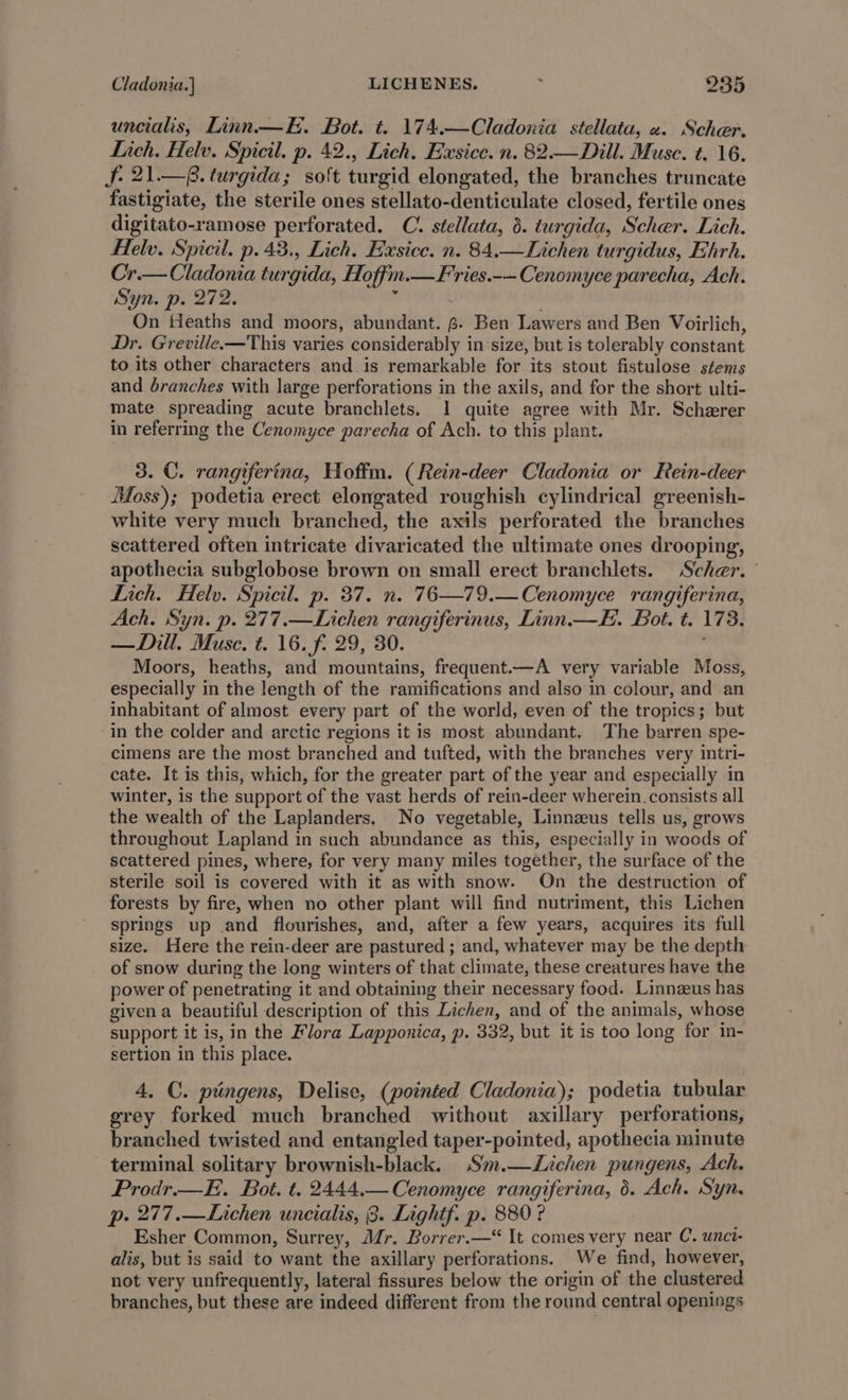 uncialis, Linn.—H. Bot. t. 174.—Cladonia stellata, «. Scher. Lich. Helv. Spicil. p. 42., Lich. Exsice. n. 82.—Dill. Muse. t. 16. Sf. 21.—8. turgida; so't turgid elongated, the branches truncate fastigiate, the sterile ones stellato-denticulate closed, fertile ones digitato-ramose perforated. C. stellata, 6. turgida, Scher. Lich. Helv. Spicil. p.43., Lich. Exsice. n. 84.—Lichen turgidus, Ehrh. Cr.— Cladonia turgida, Hoffm.—Fries.-— Cenomyce parecha, Ach. Syn. p. 272. ‘ On Heaths and moors, abundant. 6. Ben Lawers and Ben Voirlich, Dr. Greville.—This varies considerably in size, but is tolerably constant to its other characters and is remarkable for its stout fistulose stems and branches with large perforations in the axils, and for the short ulti- mate spreading acute branchlets. I quite agree with Mr. Scherer in referring the Cenomyce parecha of Ach. to this plant. 3. C. rangiferina, Hoffm. (Rein-deer Cladonia or Rein-deer Moss); podetia erect elongated roughish cylindrical greenish- white very much branched, the axils perforated the branches scattered often intricate divaricated the ultimate ones drooping, apothecia subglobose brown on small erect branchlets. Scher. Lich. Helv. Spicil. p. 37. n. 76—79.—Cenomyce rangiferina, Ach. Syn. p. 277.—Lichen rangiferinus, Linn.—. Bot. t. 173. —Dill. Muse. t. 16. f. 29, 30. Moors, heaths, and mountains, frequent.—A very variable Moss, especially in the length of the ramifications and also in colour, and an inhabitant of almost every part of the world, even of the tropics; but in the colder and arctic regions it is most abundant. The barren spe- cimens are the most branched and tufted, with the branches very intri- cate. It is this, which, for the greater part of the year and especially in winter, is the support of the vast herds of rein-deer wherein. consists all the wealth of the Laplanders. No vegetable, Linnzus tells us, grows throughout Lapland in such abundance as this, especially in woods of scattered pines, where, for very many miles together, the surface of the sterile soil is covered with it as with snow. On the destruction of forests by fire, when no other plant will find nutriment, this Lichen springs up and flourishes, and, after a few years, acquires its full size. Here the rein-deer are pastured ; and, whatever may be the depth of snow during the long winters of that climate, these creatures have the power of penetrating it and obtaining their necessary food. Linnzeus has given a beautiful description of this Lichen, and of the animals, whose support it is, in the Flora Lapponica, p. 332, but it is too long for in- sertion in this place. 4, C. pingens, Delise, (pointed Cladonia); podetia tubular grey forked much branched without axillary perforations, branched twisted and entangled taper-pointed, apothecia minute terminal solitary brownish-black. Sm.—Lichen pungens, Ach. Prodr—E. Bot. t. 2444.—Cenomyce rangiferina, 6. Ach. Syn. p- 277.—Lichen uncialis, 3. Lightf. p. 880? Esher Common, Surrey, Mr. Borrer.— It comes very near C. unci- alis, but is said to want the axillary perforations. We find, however, not very unfrequently, lateral fissures below the origin of the clustered branches, but these are indeed different from the round central openings