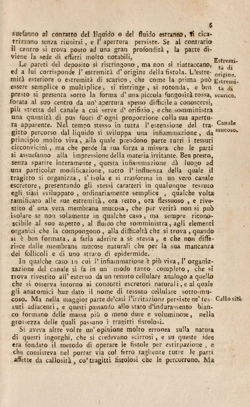 stfefanno al contatto del lìquido o del fluido estraneo, fi cica¬ trizzano senza riunirsi , e 1’ apertura persiste. Se al contrario il centro si trova posto ad una gran profondità , la parte di¬ viene la sede di editti molto notabili, „ . Le pareti del deposito si ristringono', ma non si riattaccano, ^ ^ ed a lui corrisponde 1’estremità d’origine della fistola. Lastre- ori(TU]e mità esteriore o estremità di scarico , che come la prima può Estremi- essere semplice o multiplice, si ristringe , si rotonda, e ben tà di presto si presenta sotto la forma d’ una piccola fungosità rossa, scarico, forata al suo centro da un’ apertura spesso difficile a conoscersi, più stretta del canale a cui serve d’ orifizio, e che somministra una quantità di pus fuori d’ ogni proporzione colla sua apertu¬ ra apparente. Nel tempo stesso in tutta l’estensione del tra- Canalc gitto percorso dal liquido si sviluppa una infiammazione, damucoso*' principio molto viva, alla quale prendono parte tutti i tessuti circonvicini , ma che perde la sua forza a misura che le parti si assuefanno alla impressione della materia irritante. Ben presto, senza sparire interamente , questa infiammazione dà luogo ad una parricolar modificazione, sotto l’influenza della quale il tragitto si organizza , s’ isola e si trasforma in un vero canale escretore, presentando gli stessi caratteri in qualunque tessuto egli sigisi sviluppato , ordinariamente semplice , qualche volta ramificato alle sue estremità, ora retto, ora flessuoso , e rive¬ stito d’ una vera membrana mucosa, che per verità non si può isolare se non solamente in qualche caso , ma sempre ricono¬ scibile al suo aspetto, al fluido che somministra, agli elementi organici che la compongono , alla difficoltà che si trova , quando si è ben formata, a farla aderire a se stessa T e che non diffe¬ risce dalle membrane mucose naturali che per la sua mancanza dei follicoli e di uno strabo di epidermide. In qualche caso- in cui l’infiammazione è più viva, 1’ organiz¬ zazione del canale si fa in un modo tanto completo , che sì trova rivestito all’esterno da un tessuto cellulare analogo a quello che si osserva intorno ai condotti escretori naturai i, e al quale gli anatomici hatr dato il nome di tessuto cellulare sotto-mu¬ coso. Ma nella maggior parte de’casi l’irritazione persiste ne’tes- Callosi** suti adiacenti, e questi passando allo staro d’induramento bian¬ co formano delle masse più o meno dure e voluminose, nella grossezza delle quali passano i tragitti fistolosi. Si aveva altre volte un’opinione molto erronea sulla natura di questi ingorghi, che si credevano scirrosi , e su queste idee era fondato il metodo di operare le fistole per estirpazione , e che consisteva nel portar via co! ferro tagliente tutre le parti affètte da callosità, co’ tragitti fistolosi che le percorrono. Ma