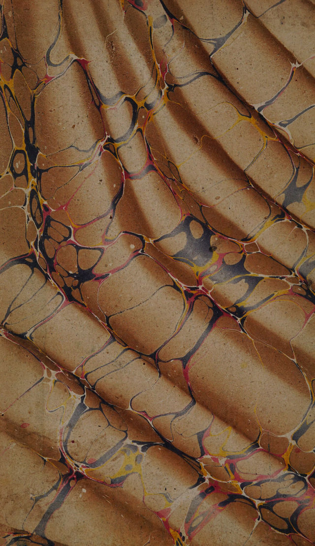 digitised image 2