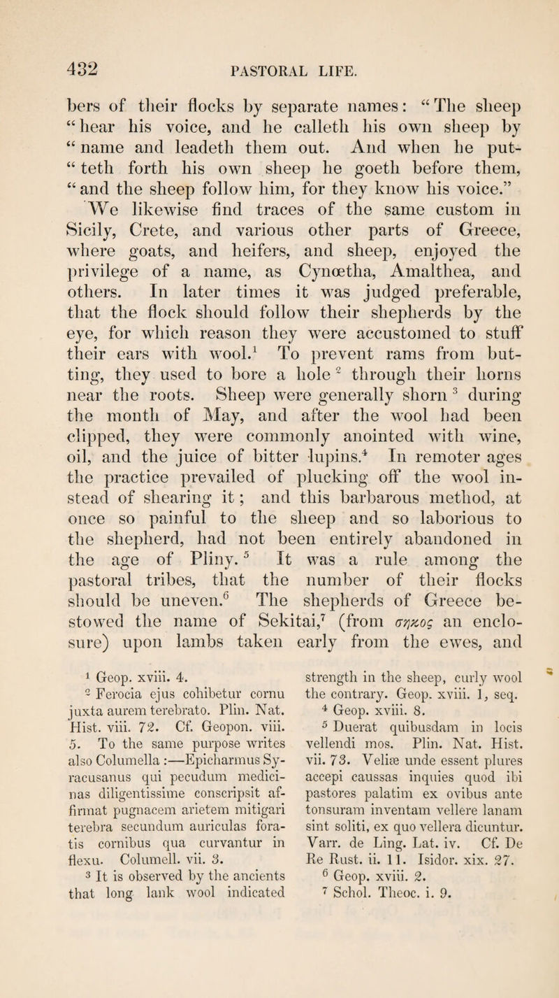 bers of their flocks by separate names: The sheep “hear his voice, and he calleth his own sheep by “ name and leadeth them out. And when he put- “ teth forth his own sheep he goeth before them, “ and the sheep follow him, for they know his voice.” We likewise find traces of the same custom in Sicily, Crete, and various other parts of Greece, where goats, and heifers, and sheep, enjoyed the privilege of a name, as Cynoetha, Amalthea, and others. In later times it was judged preferable, that the flock should follow their shepherds by the eye, for which reason they were accustomed to stuff* their ears with wool.^ To prevent rams from but¬ ting, they used to bore a hole ^ through their horns near the roots. Sheep were generally shorn ^ during the month of May, and after the wool had been clipped, they were commonly anointed with wine, oil, and the juice of bitter lupins.^ In remoter ages the practice prevailed of plucking off the wool in¬ stead of shearing it; and this barbarous method, at once so painful to the sheep and so laborious to the shepherd, had not been entirely abandoned in the age of Pliny. ^ It was a rule among the pastoral tribes, that the number of their flocks should be uneven.^ The shepherds of Greece be¬ stowed the name of Sekitai,^ (from (jr]zog an enclo¬ sure) upon lambs taken early from the ewes, and 1 Geop. xviii. 4. 2 Ferocia ejus coliibetur cornu juxta aurem terebrato. Plin. Nat. Hist. viii. 72. Cf. Geopon. viii. 5. To the same purpose writes also Columella :—Epicharmus Sy- racusanus qui pecudum medici- nas diligentissime conscripsit af- firmat pugnacem arietem mitigari terebra secundum auriculas fora- tis cornibus qua curvantur in tlexu. Columell. vii. S. 3 It is observed by the ancients that long lank wool indicated strength in the sheep, curly wool the contrary. Geop. xviii. i, seq. 4 Geop. xviii. 8. ^ Duerat quibusdam in locis vellendi mos. Plin. Nat. Hist, vii. 73. Velice unde essent plures accepi caussas inquies quod ibi pastores palatini ex ovibus ante tonsuram inventam vellere lanam sint soliti, ex quo vellera dicuntur. Varr. de Ling. Lat. iv. Cf. De Re Rust. ii. 11. Isidor. xix. 27. ® Geop. xviii. 2.  Schol. Theoc. i. 9.