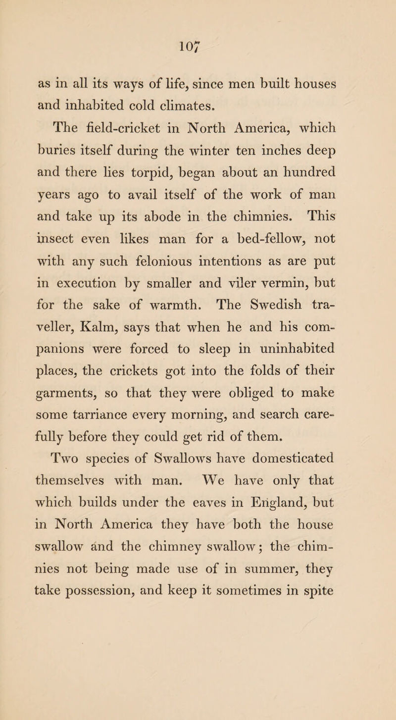as in all its ways of life, since men built houses and inhabited cold climates. The field-cricket in North America, which buries itself during the winter ten inches deep and there lies torpid, began about an hundred years ago to avail itself of the work of man and take up its abode in the chimnies. This insect even likes man for a bed-fellow, not with any such felonious intentions as are put in execution by smaller and viler vermin, but for the sake of warmth. The Swedish tra¬ veller, Kalm, says that when he and his com¬ panions were forced to sleep in uninhabited places, the crickets got into the folds of their garments, so that they were obliged to make some tarriance every morning, and search care¬ fully before they could get rid of them. Two species of Swallows have domesticated themselves with man. We have only that which builds under the eaves in England, but in North America they have both the house swallow and the chimney swallow; the chim¬ nies not being made use of in summer, they take possession, and keep it sometimes in spite