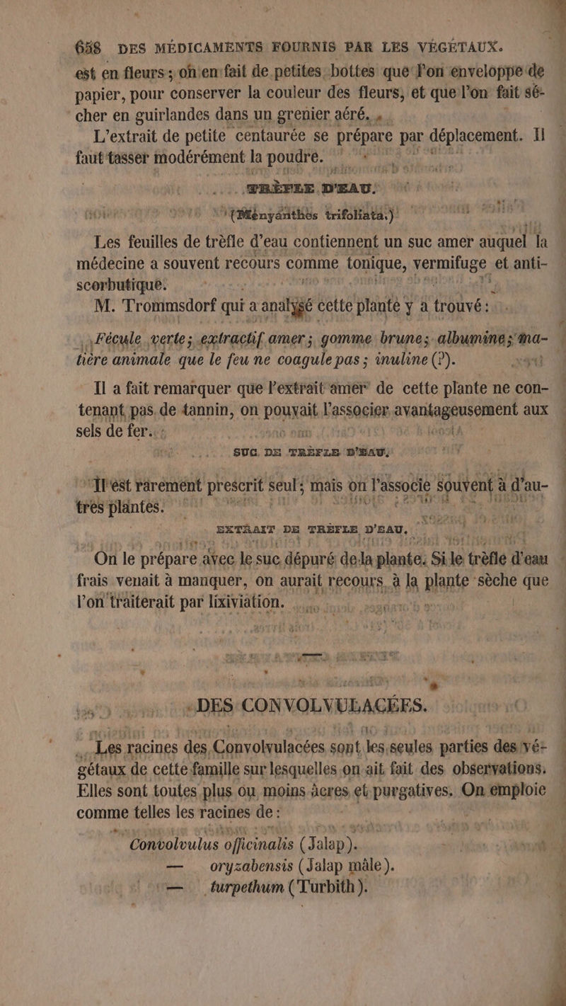 est en fleurs; ohen: fait de petites. bottes que lon enveloppe de papier, pour conserver la couieur des fleurs, et que l’on fait sé- cher en guirlandes dans un grenier aéré... L'’extrait de petite centaurée se prépare par déplacement. ïl faut tasser modérément la poudre. Mat, RFS TRÈPLE, au: DT An RORMAMUE OMMNE AN Les feuilles de trèfle d’eau contiennent un suc amer do là médecine a souvent recours comme tonique, jerniuse, et anti- scorbutique. M. Trommsdorf qui a rar cette plante Ya trouvé: Fécule verte; ;-extrachif amer ; gomme brune; albumine; ma- | tière animale que le feu ne coagule pas ; inuline (?). ROSE Il à fait remarquer que l'extrait amer’ de cette plante ne con- tenant pas. qe tannin, on it Lassasine avanageus ment aux sels de fer. sé Lot A fre _SUc. DE TRÈFLE D'EAU! ù | l'est rârement prescrit seul} mais on 1 l'associé Soient à d' au- | tres ne dr, 6e sxyAaIT DE TRÈFLE D'EAU, RATÉ. dc Ling FE Aù [ On le prépare. àvec le suc dépuré de. la plante si le trèfle 1 frais venait à manquer, On aurait recours. à la plante: sèche que l’on traiterait par lixiviation. ose | FRA LAURE CUS à 4 * k DES CON VOLVULACÉES. LA é % Lan 27 3 NA racines des. a Due or à Le seules antiés dsbrét gétaux de cette famille sur lesquelles on ait fait des observations. Elles sont toutes plus ou moins àcres et purgatives. On emploie comme telles les racines de: | | “nm nfte rte. =. &gt; js “Convoloutus pa nr PT “A » 10 4 — orysabensis (Jalap mâle). ù — turpethum (Turbith). 4