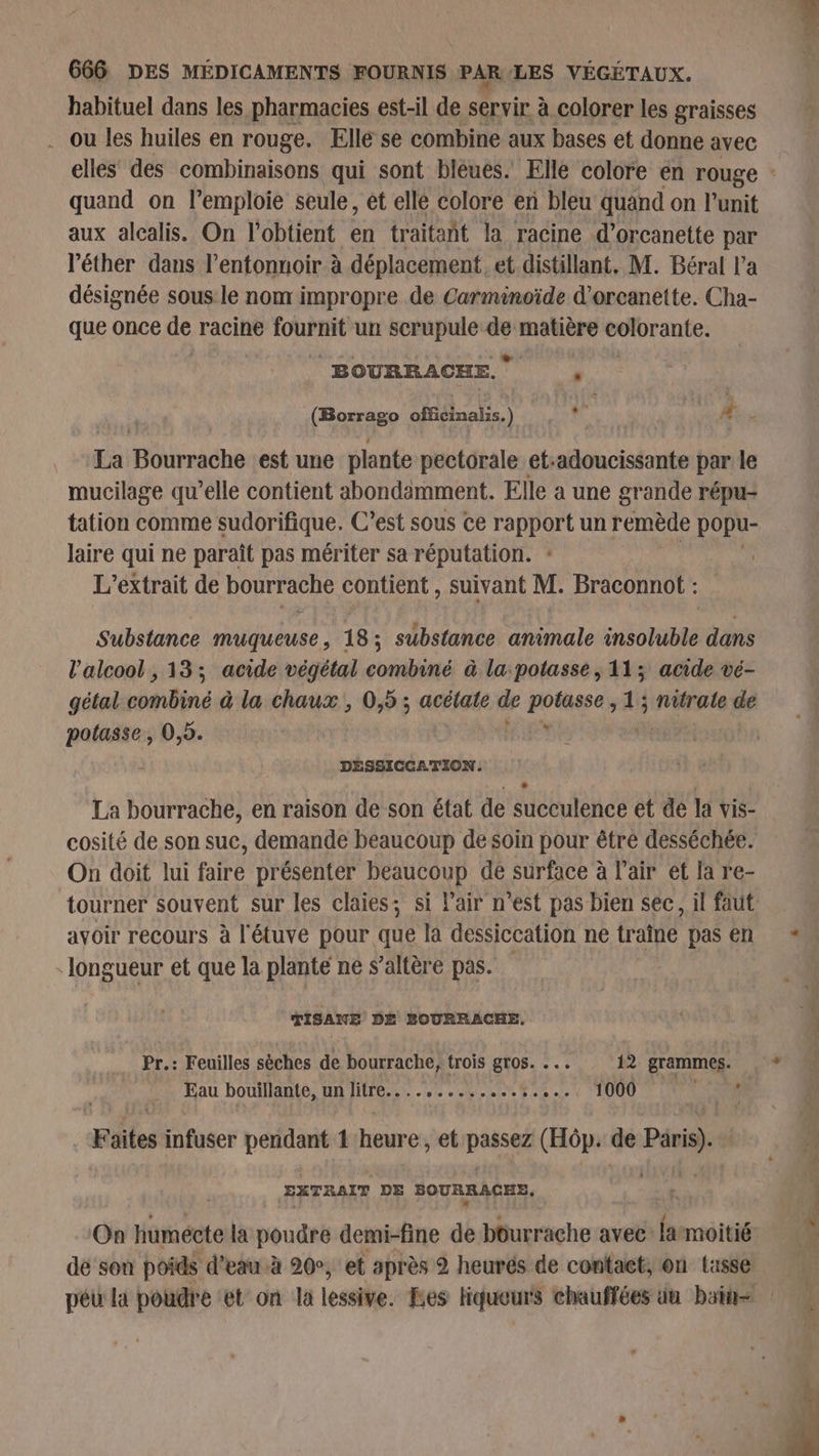 habituel dans les pharmacies est-il de servir à colorer les graisses . ou les huiles en rouge. Elle se combine aux bases et donne avec elles’ des combinaisons qui sont bléues. Elle colore en rouge - quand on l’emploie seule, et elle colore en bleu quand on l’unit aux alcalis. On l’obtient en traitant la racine d’orcanette par l'éther dans l’entonnoir à déplacement. et distillant. M. Béral l’a désignée sous le nom impropre de Carminoïde d'orcanette. Cha- que once de racine HET un scrupule sé matière PF BOURRACHE., , Qi offiéinalis.) Ras | | 1 ss La rat est une plante pectorale et:adoucissante par le mucilage qu’elle contient abondimment. Elle a une grande répu- tation comme sudorifique. C’est sous Ce rapport un remède popu- laire qui ne paraît pas mériter sa réputation. L’extrait de bourrache contient , suivant M. Braconnot : Substance muqueuse, 18; substance animale insoluble dans l'alcool , 13; acide végétal combiné à la:potasse , 11; acide vé- gétal riliné à la chaux , 0,5 ; acétate de potasse , 1 ; nitrate de sa 0,5. FAN DÉSSICCATION. La bourrache, en raison de son état de succulence et de la vis- cosité de son suc, demande beaucoup de soin pour être desséchée. On doit lui faire présenter beaucoup de surface à l’air et la re- tourner souvent sur les claies; si l'air n’est pas bien sec, il faut avoir recours à l'étuve pour que là dessiccation ne traîne pas en longueur et que la plante ne s’altère pas. TISANE DÉ BOURRACHE, | | Pr.: Feuilles sèches de bourrache, trois gros. ..… 12 grammes. , * Eau bouillante, un litre.............:....: 1000 LAN Faites infuser pendant 1 heure, et passez (Hôp. de Paris). AE l EXTRAIT DE BOURRACEE, DID ] 1 On humécte la poudre demi-fine de bôurrache avec: larmoitié dé son poids d'eau à 20°, et après 2 heures de contact, on tasse péu la poudre et on la lessive. Les liqueurs chauffées un bain
