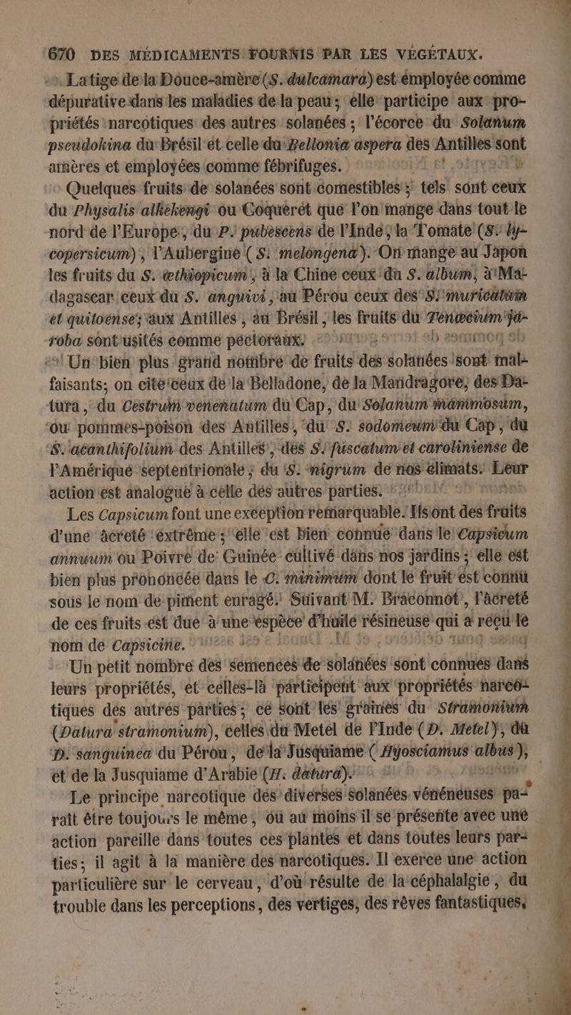 -+ Latige dela Douce-amère (S. dulcamara) est émployée comme dépurative dans les maladies de la peau; elle participe aux pro- priétés narcotiques desautres solanées ; l'écorce du Solanñum pseudokina du: Brésil'et celle du Zelonia aspera des ati sont arnères et employées comme fébrifuges. MORE, : Quelques fruits de solanées sont comestibles; tels sdnit ceux du Physalis alkekengi ou Coquérét que l'on: note dans tout le nord de l'Europe, du P. pubèsoëns de l'Inde; la Tomate (51 y copersicum) , V'Aubergine ( S:'melongenæ). On mange au Japon les fruits du S. œthiopicum , à la Chine ceux du S. album, à1Ma dagascar ceux du S. anguivi , au Pérou ceux des S/mnuricatiin el quitoënses aux Antilles’, au Brésil , les fruits qu Teneñim jé ji: sont'usités comme pébloéit) z FL 9 0 290 +! Un‘bien plus grañd notibre de fruits des solitiées /sont: na faisants; on citéiceux de la Belladone, de la Mandragore, des Da- tura, du Céstrulivetienitine dù Cap, du'So/anum mämimosum, ‘ou Dottinnes péñ on des Antilles, ‘du S: sodomeumdu Cép , du S. acanthifolium des Antilles’, aée S'fuscatumet caroliniense de l'Amériqué septentrionale ; du 82 nigrüm de no$ élimats- Leur action est analogue à celle dés autres parties. * 1° fini Les Capsicum font une exéeption Parque? ‘Hsont dé fruits d'uné âcreté ‘éxtrême : ‘elle est Hier connu dans le: Capsicum annuum ou Poivre de: Guinée: cultivé däns nos jardins ; elle est bien plus prononcée dans le .C: minimum dont lé fruit est corititt sous le nom dé piment enragé: Suivant M: Bräconnôt , l'acreté de ces fruits est due à’une: rai gré résineuse Mgr a regu .- nom de Capsicine. 7 ‘Un petit nombre des semences de abratiées sont connués dal leurs propriétés, et celles là participent aux propriétés narcô: tiques dés autrés parties; ce Sont Les graines du Stramonium (Datura ‘straïnonium), celles du Metél de Pinde (D. Metel}, du ét de la Jusquiame d’ Aräbie (Æ: débür a. _ raît être toujours le même, ôù au moins il se préseñte avéc une action pareille dans toutes ces plantes et däns toutes leurs para ties; il agit à là manière des narcotiques. Il exércé une action particulière sur le cerveau, d’où résulte de la céphalalgie, du trouble dans les perceptions, des vertiges, des rêves fantastiques, ne Re no is =