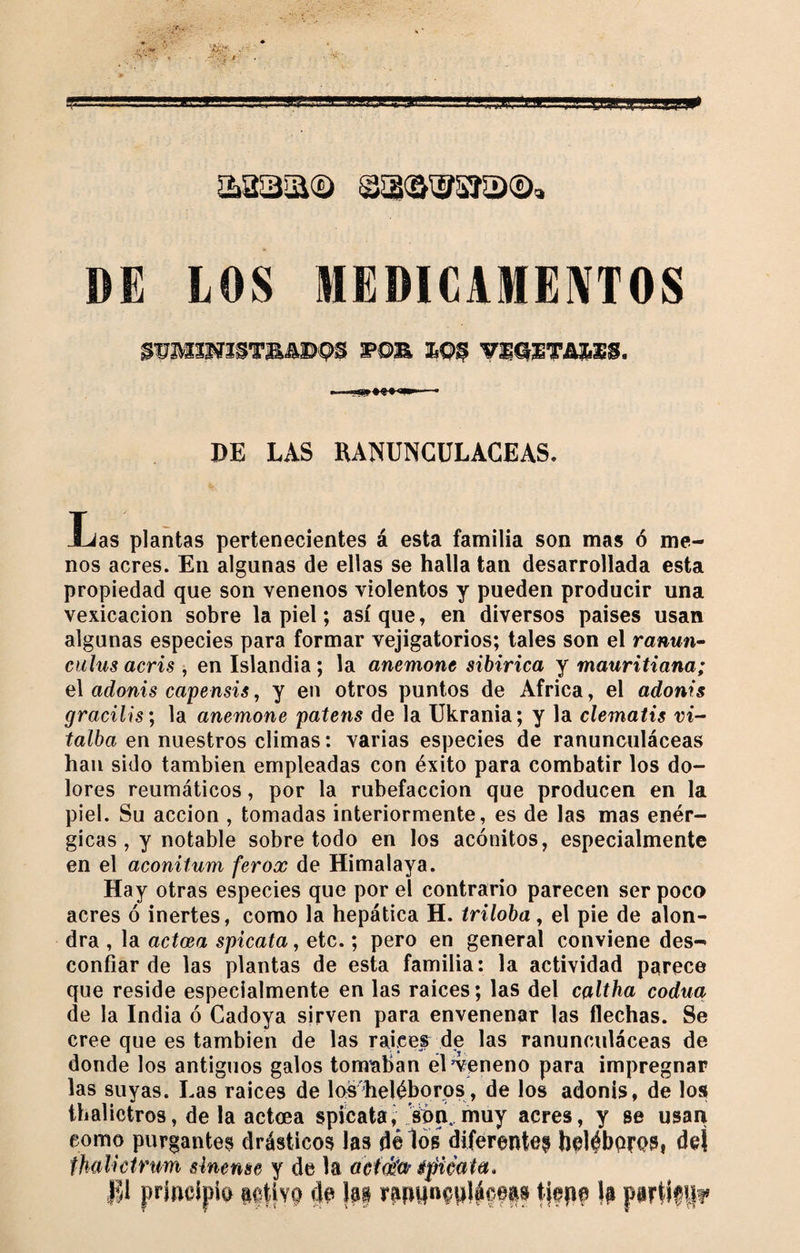 DE LOS MEDÏCAMEIVTOS $ÜIVÎ3mSTj&amp;AX)^S FO£ £0^ VSQSWSS. DE LAS RANUNCULACEAS. Ijas plantas pertenecientes á esta familia son mas ó me¬ nos acres. En algunas de ellas se halla tan desarrollada esta propiedad que son venenos violentos y pueden producir una vexicacion sobre la piel ; así que, en diversos paises usan algunas especies para formar vejigatorios; tales son el ranún- cidus acris , en Islandia ; la anemone sibirica y mauritiana; el adonis capensis, y en otros puntos de Africa, el adonis gracilis\ la anemone patens de la Ukrania; y la clematis ri- talba en nuestros climas : varias especies de ranunculáceas han sido también empleadas con éxito para combatir los do¬ lores reumáticos, por la rubefacción que producen en la piel. Su acción , tomadas interiormente, es de las mas enér¬ gicas , y notable sobretodo en los acónitos, especialmente en el aconitum ferox de Himalaya. Hay otras especies que por el contrario parecen ser poco acres ó inertes, como la hepática H. íriloba, el pie de alon¬ dra , la actœa spicata, etc. ; pero en general conviene des¬ confiar de las plantas de esta familia: la actividad parece que reside especialmente en las raíces; las del caltha codua de la India ó Cadoya sirven para envenenar las flechas. Se cree que es también de las raíces de las ranunculáceas de donde los antiguos galos tomaban el Veneno para impregnar las suyas. Las raíces de los heléboros, de los adonis, de los thalictros, de la actœa spicata¡ sórí. muy acres, y se usan como purgantes drásticos las dé los diferentes helébpros, deí thülictnm sinense y de la aefdar ipiéaia, ni principia activg Im fiepe partitif