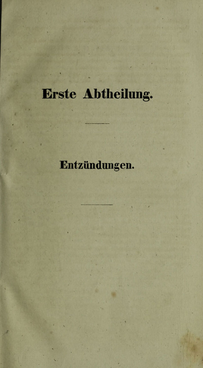 Erste Abtheilung. Entzündungen.