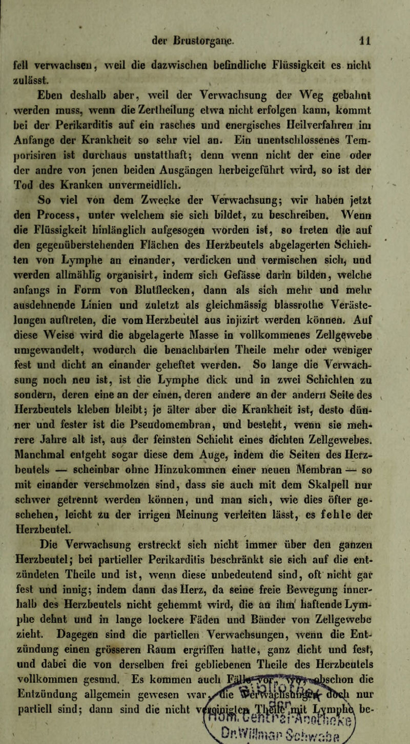 feil verwachset], weil die dazwischen beGndliche Flüssigkeit cs nicht zulässt. Eben deshalb aber, weil der Verwachsung der Weg gebahnt werden muss, wenn die Zerlheilung etwa nicht erfolgen kann, kommt bei der Perikarditis auf ein rasches und energisches Heilverfahren im Anfänge der Krankheit so sehr viel an. Ein unentschlossenes Tem- pnrisiren ist durchaus unstatthaft; denn wenn nicht der eine oder der andre von jenen beiden Ausgängen herbeigeführt wird, so ist der Tod des Kranken unvermeidlich. , So viel von dem Zwecke der Verwachsung; wir haben jetzt den Process, unter welchem sic sich bildet, zu beschreiben. Wenn die Flüssigkeit hinlänglich aufgesogen worden ist, so treten die auf den gegeuüberstehenden Flächen des Herzbeutels abgelagerten Schich¬ ten von Lymphe an einander, verdicken und vermischen sich, und werden allmählig organisirt, indem sich Gefässe darin bilden, welche anfangs in Form von Blutflecken, dann als sich mehr und mehr ausdehnende Linien und zuletzt als gleichmässig blassrothe Veräste¬ lungen auftreten, die vom Herzbeutel aus iojizirt werden können. Auf diese Weise wird die abgelagerte Masse in vollkommenes Zellgewebe umgewandelt, wodurch die benachbarten Theile mehr oder weniger fest und dicht an einander geheftet werden. So lange die Verwach¬ sung noch neu ist, ist die Lymphe dick und in zwei Schichten zu sondern, deren eine an der einen, deren andere an der andern Seile des Herzbeutels kleben bleibt; je älter aber die Krankheit ist, desto dün¬ ner und fester ist die Pscudomembran, und besteht, wenn sie meh¬ rere Jahre alt ist, aus der feinsten Schicht eines dichten Zellgewebes. Manchmal entgeht sogar diese dem Auge, indem die Seiten des Herz¬ beutels — scheinbar ohne Hinzukommen einer neuen Membran — so mit einander verschmolzen sind, dass sie auch mit dem Skalpell nur schwer getrennt werden können, und man sich, wie dies öfter ge¬ schehen, leicht zu der irrigen Meinung verleiten lässt, es fehle der Herzbeutel. Die Verwachsung erstreckt sich nicht immer über den ganzen Herzbeutel; bei partieller Perikarditis beschränkt sie sich auf die ent¬ zündeten Theile und ist, wenn diese unbedeutend sind, oft nicht gar fest und innig; indem dann das Herz, da seine freie Bewegung inner¬ halb des Herzbeutels nicht gehemmt wird, die an ihm' haftende Lym¬ phe dehnt und in lange lockere Fäden und Bänder von Zellgewebe zieht. Dagegen sind die partiellen Verwachsungen, wenn die Ent¬ zündung einen grösseren Raum ergriffen hatte, ganz dicht und fest, und dabei die von derselben frei gebliebenen Theile des Herzbeutels vollkommen gesund. Es kommen auch r^J^^tK^Wj^^j^chon die Entzündung allgemein gewesen war^/die nur partiell sind; dann sind die nicht VM*jij3j|jc|»yTlj$feCnjit L^m^hhbc- VOp.Wjllman J