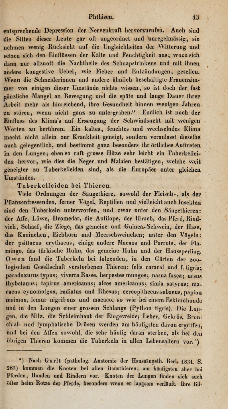 entsprechende Depression der Nervenkraft hervorzurufen. Aueh sind die Sitten dieser Leute gar oft ungeordnet und unregelmässig, sie nehmen wenig Rücksicht auf die Ungleichheiten der Witterung und setzen sich den Einflüssen der Kälte und Feuchtigkeit aus; wozu sich dann nur allzuoft die Nachtheile des Schnapstrinkens und mit ihnen andere kongestive Uebel, wie Fieber und Entzündungen, gesellen. Wenn die Schneiderinnen und andere ähnlich beschäftigte Frauenzim¬ mer von einigen dieser Umstände nichts wissen, so ist doch der fast gänzliche Mangel an Bewegung und die späte und lange Dauer ihrer Arbeit mehr als hinreichend, ihre Gesundheit binnen wenigen Jahren zu stören, wenn nicht ganz zu untergraben.u Endlich ist noch der Einfluss des Klima’s auf Er;seugung der Schwindsucht mit wenigen Worten zu berühren. Ein kaltes, feuchtes und wechselndes Klima macht nicht allein zur Krankheit geneigt, sondern veranlasst dieselbe auch gelegentlich, und bestimmt ganz besonders ihr örtliches Auftreten in den Lungen; ebenso ruft grosse Hitze sehr leicht ein Tuberkellei¬ den hervor, wie dies die Neger und Malaien bestätigen, welche weit geneigter zu Tuberkelleiden sind, als die Europäer unter gleichen Umständen. Tuberkelleiden bei Thieren. Viele Ordnungen der Säugethiere, sowohl der Fleisch-, als der Pflanzenfressenden, ferner Vögel, Reptilien und vielleicht auch Insekten sind den Tuberkeln unterworfen, und zwar unter den Säugethieren: der Affe, Löwe, Dromedar, die Antilope, der Hirsch, das Pferd, Rind¬ vieh, Schaaf, die Ziege, das gemeine und Guinea^-Schwein, der Hase, das Kaninchen, Eichhorn und Meerschweinchen; unter den Vögeln: der psittacus erythacus, einige andere Macaos und Parrots, der Fla¬ mingo, das türkische Huhn, das gemeine Huhn und der Haussperling. Owen fand die Tuberkeln bei folgenden, in den Gärten der zoo¬ logischen Gesellschaft verstorbenen Thieren: felis caracal und f. tigris; paradoxurus typus; viverra Rasse, herpestes mungos; nasuafusca; ursus thybetanus; tapirus americanus; alces americanus; simia satyrus; ma- cacus cynomolgus, radiatus und Rhesus; cercopithecus sabaeus, papion maimon, lemur nigrifrons und macaco, so wie bei einem Eskimohunde und in den Lungen einer grossen Schlange (Pylhon tigris). Die Lun¬ gen, die Milz, die Schleimhaut der Eingeweide; Treber, Gekrös, Bron¬ chial- und lymphatische Drüsen werden am häutigsten davon ergriffen, und bei den Affen sowohl, die sehr häufig daran sterben, als bei den übrigen Thieren kommen die Tuberkeln in allen Lebensaltern vor/) *) Nach Gurlt (patholog. Anatomie der Haussäugeth. Berk 1831. S. 283) kommen die Knoten bei allen Hausthieren, am häufigsten aber bei Pferden, Hunden und Rindern vor. Knoten der Lungen finden sich auch öfter beim Rotze der Pferde, besonders wenn er langsam verläuft. Ihre Bil-