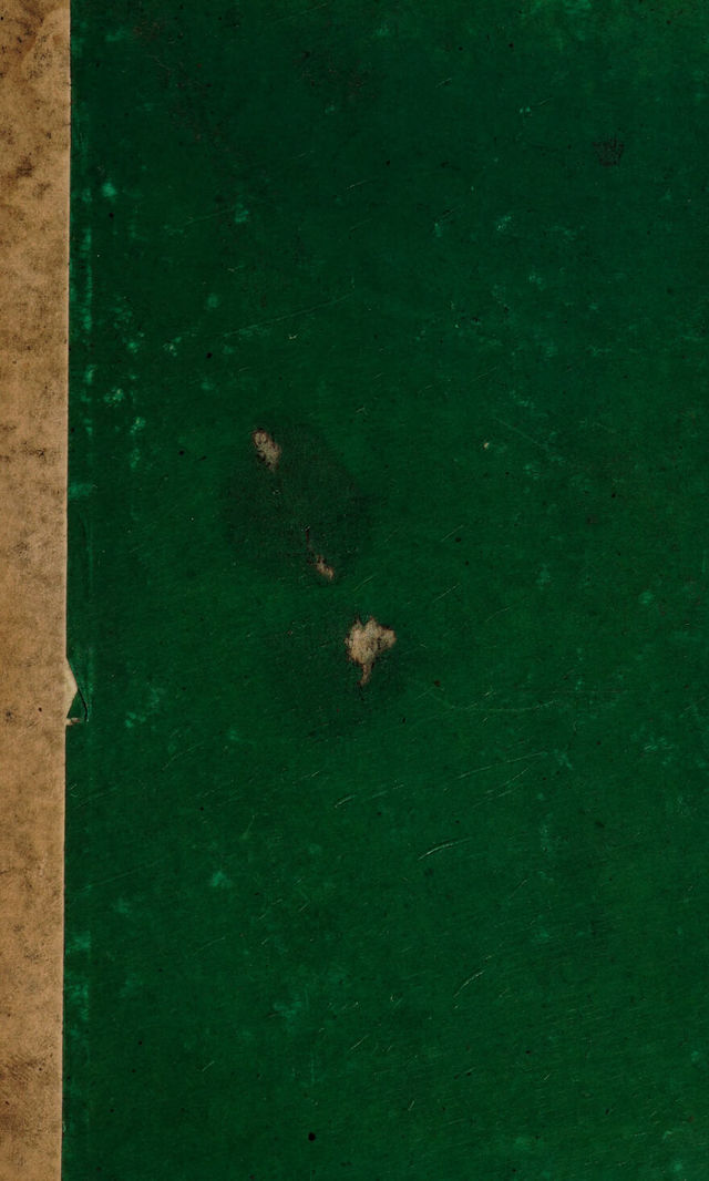 digitised image 1