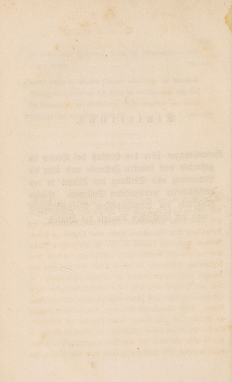 ■ . ' , ' X . > ' ■ . . ■ - . ‘ ■ >■ : ■ - - ’ »