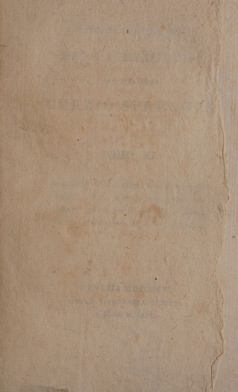 è; ve” Ù » 4 N li N X vg VS Val Ù ZA IRA, N LT) Ro A NY n at È 9 9 Ù TT