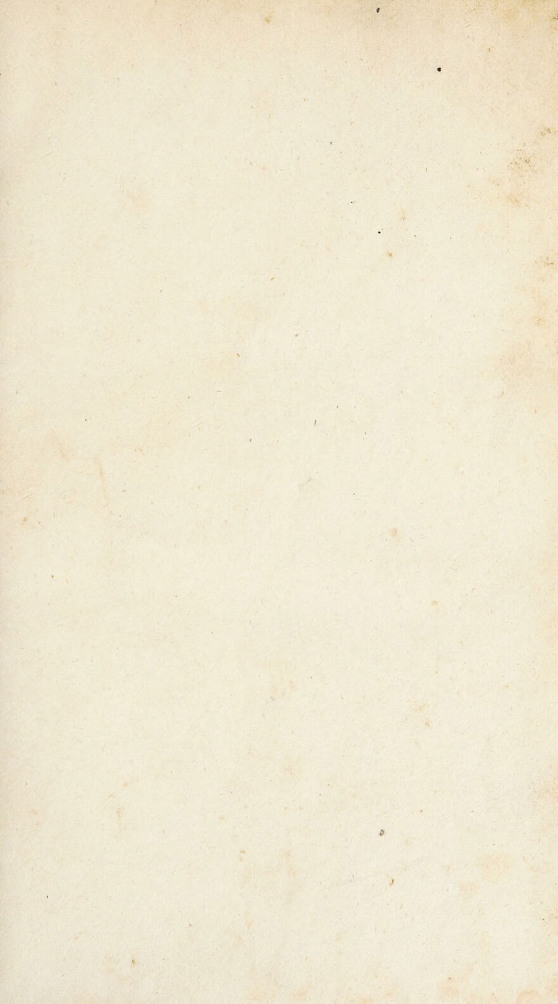 '