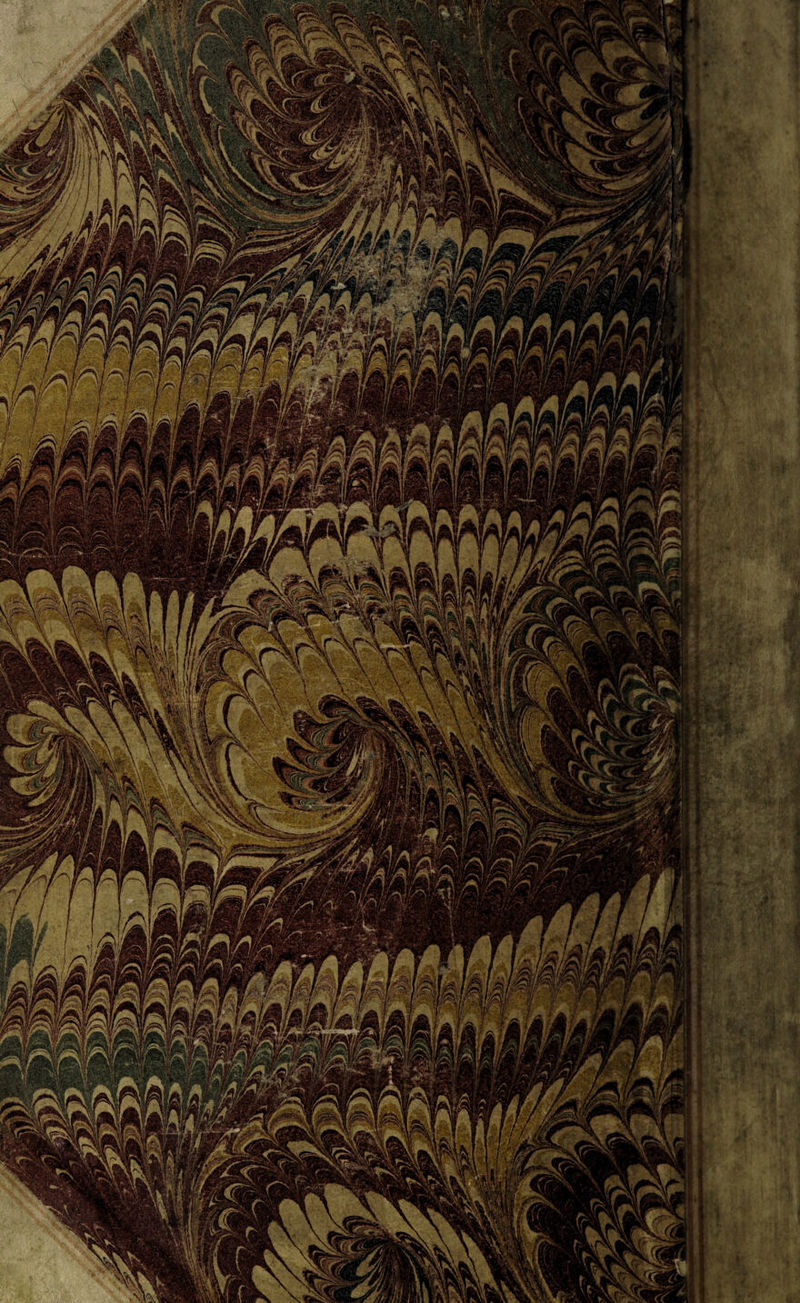 w|à 1 i^VNSH snm\t k^kH aUmìn * ^>3M • wNi •“■* 'oKi^Kn <‘x-* f *'*3r.^> Ti iÈfMKi ■'fif-^ffllM e^:;j E ? a 1 ^1 l/• ^>. 1