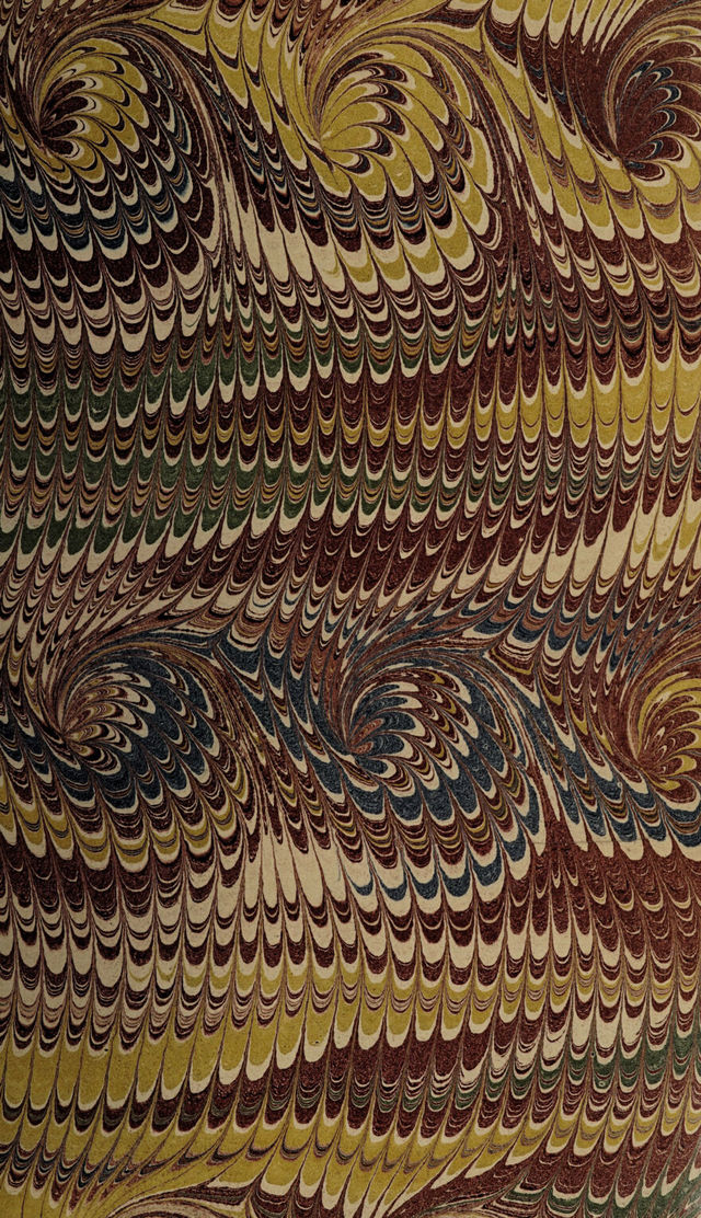 No text description is available for this image