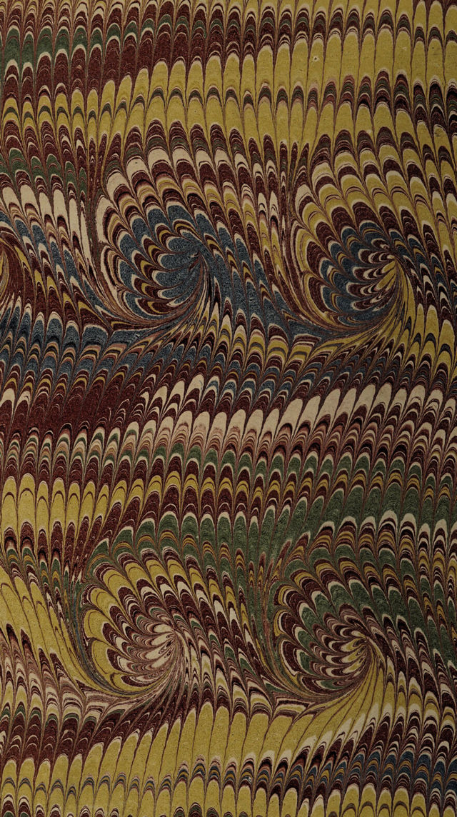 No text description is available for this image