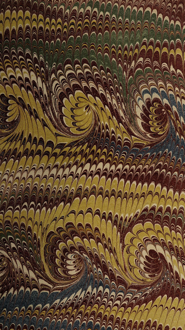 No text description is available for this image