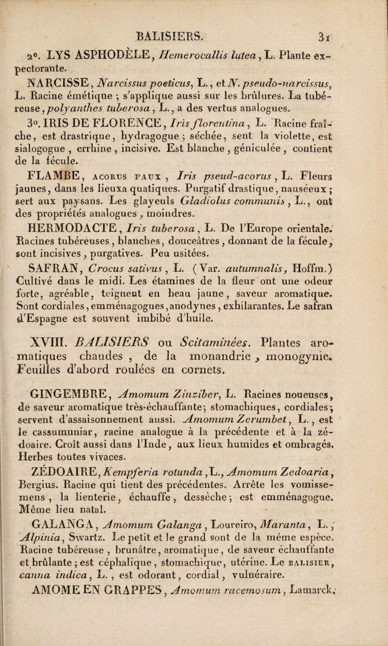 a”. LYS ASPHODÈLE, Hemerocallis lutea, L. Plante ex¬ pectorante. NARCISSE, JYarcissus poeticus, L., et N- pseudo-narcissus7 L. Racine émétique * s’applique aussi sur les brûlures. La tubé¬ reuse , polyanthes tuberosa , L., a des vertus analogues. 3°. IRIS DE FLORENCE, Iris florentina, L. Racine fraî¬ che, est drastrique, hydragogue ; séchée, sent la violette, est sialogogue , errhine , incisive. Est blanche , géniculée , contient de la fécule. FLAMBE , AcoRus faux , Iris pseud-acorus , L. Fleurs jaunes, dans les lieuxa quatiques. Purgatif drastique, nauséeux ; sert aux paysans. Les glayeuls Gladiolus commuais , L., ont des propriétés analogues , moindres. HERMODACTE, Iris tuberosa, L. De l’Europe orientale. Racines tubéreuses , blanches, douceâtres , donnant de la fécule ? sont incisives , purgatives. Peu usitées. SAFRAN, Crocus sativus , L. (Var. autumnalis, Hoffm.) Cultivé dans le midi. Les étamines de la fleur ont une odeur forte, agréable, teignent en beau jaune, saveur aromatique. Sont cordiales, emménagogues,anodynes , exhilarantes. Le safran d’Espagne est souvent imbibé d’huile. XVIII. BALISIERS ou Scitaminées. Plantes aro¬ matiques chaudes , de la monandrie , monogynie* Feuilles d'abord roulées en cornets. GINGEMBRE, Amomum Zinzdber, L. Racines noueuses, de saveur aromatique très*échauffante*, stomachiques, cordiales; servent d assaisonnement aussi. Amomum Zerumbet, L., est le cassumuniar, racine analogue à la précédente et à la zé- doaire. Croît aussi dans l’Inde, aux lieux humides et ombragés. Herbes toutes vivaces. r ZEDOAIRE, Kempferia rolunda ,L., Amomum Zedoaria, Bergius. Racine qui tient des précédentes. Arrête les vomisse- niens , la lienterie, échauffe , dessèche *, est emménagogue. M ême lieu natal. GALANGA, Amomum Galanga , Loureiro, Maranta, L., Alpinia, Swartz. Le petit et le grand sont de la même espèce. Racine tubéreuse , brunâtre, aromatique, de saveur échauffante et brûlante ; est céphalique, stomachique, utérine. Le balisier, canna indica, L. , est odorant, cordial, vulnéraire. AMOME EN GRAPPES , Amomum racemosum , Lamarche