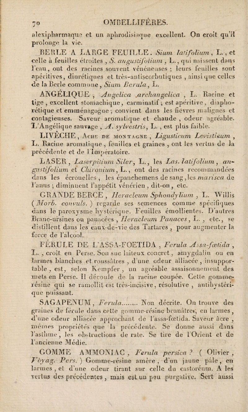 alexipharmaque et un aphrodisiaque excellent. On croit qu’il prolonge la vie. BEULE A LARGE FEUILLE. Sium lad folium, L., et celle à feuilles étroites , S. a n gus tifolium , L., qui naissent dans l’eau, ont des racines souvent vénéneuses ; leurs feuilles sont apéritives, diurétiques et très-anl.iscorhutiques , ainsi que celles de la Berle commune , Sium Beriilci, L. r ANGELIQUE , Angelica .archangclica , L. Racine et tige, excellent stomachique, carminatif-, est apéritive, diapho¬ nique et emménagogue -, convient dans les fièvres malignes et contagieuses. Saveur aromatique et chaude , odeur agréable. X Angélique sauvage , A. sy le es tris, L. , est plus faible. LIVECHE , Acre de montagne , Ligusticum Leeistieum , L. Racine aromatique , feuilles et graines , ont les vertus de la précédente et de l lmpératoire. LASER, Las erp il ium Si le r, L., les Las. I ali folium , an- gustifolium et Chu onium, L., ont des racines recommandées dans les écrouelles, les épanchemens de sang ,les marisca de lanus ; diminuent l’appétit vénérien , dit-on , etc. GRANDE BERCE, Heracleum Spliondylium , L. Willis (Morb. commis.) regarde ses semences comme spécifiques dans le paroxysme hystérique. Feuilles émollientes. D’autres Branc-ursines ou panacées , Heracleum Panaces, L. , etc., se distillent dans les eaux-de-vie des Tartares , pour augmenter la force de Falcooï. FERULE DE L’ÂSSÀ-FOETIDÀ , Fcrula Assa-fœtida , L. , croît en Perse. Son suc laiteux concret, amygdaün ou en larmes blanches et roussâtres , d une odeur alliacée , insuppor¬ table , est, selon Kempfer , un agréable assaisonnement des mets en Perse. Il découle de la racine coupée. Cette gomme- résine qui se ramollit est très-incisive, résolutive , antihystéri¬ que puissant. SàGAPENUM, Ferula.. Non décrite. On trouve des graines de férule dans cette gomme-résine brunâtre*, en larmes , d’une odeur alliacée approchant de f’assa-fœtida. Saveur acre , mêmes propriétés que la précédente. Se donne aussi dans l’asthme, les obstructions de rate. Se tire de 1 Orient et de l’ancienne Médie. GOMME AMMONIAC, Ferula persica ? ( Olivier, Vbyag. P ers. ) Gomme-résine amère , d’un jaune pâle , en larmes , et d’une odeur tirant sur celle du castoréum. A les vertus des précédentes , mais est un peu purgative. Sert aussi