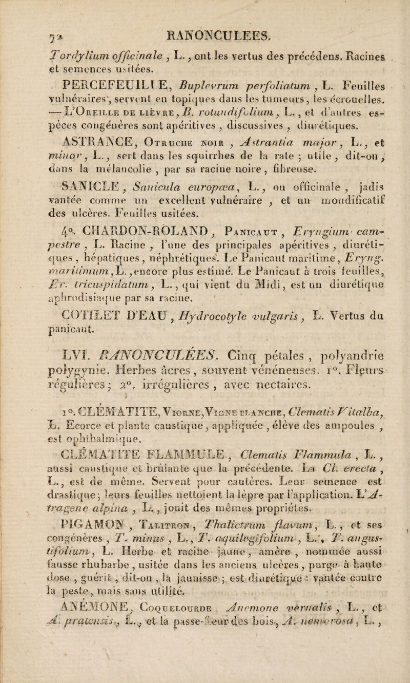 9» RAN ONGULE ES. T or dy Hum officinale , L. , ont les vertus des précédées. Racines et semences usitées. PERCEFEUILÏ E, Buplevrum peifoliatum , L. Feuilles vulnéraires',, servent en topiques dans lès tumeurs, les écrouelles. •—L'Oreille de lièvre, B. rotundifolium, L. , et d’autres es¬ pèces congénères sont apéritives , discussives , diurétiques. ASTRANCE, Otruciie noir , Astrantia major, L., et min or, L., sert dans les squirrbes de la rate 5 utile, dit-011, dans la mélancolie , par sa racine noire, fibreuse. SÀNICLE, Sanicida curopœa, L., ou officinale, jadis vantée comme un excellent vulnéraire , et un mondificatif des ulcères. Feuilles usitées. 4°. CHARDON-ROLAND , Panicaut , Erynginm' ccim- pestre , L. Racine , Tune des principales apéritives , diuréti¬ ques , hépatiques, néphrétiques. Le Panicaut maritime, Eryng. mariùmum fÊ.,encore plus estimé. Le Panicaut à trois feuilles, Er. Iricuspidatiim, L., qui vient du Midi, est un diurétique aphrodisiaque par sa racine. CÜTILET D’EAU , Hydrocotyle vulgaris, L. Vertus du panicaut. LVI. Pi AN ONC U LÉ ES. Cinq pétales , polyandrie polygynie. Herbes âcres, souvent vénéneuses. i°. Flçurs régulières • 2°. irrégulières , avec nectaires. i ■ , • • 1 1 °. CLEMATITE, V1 orne,Vigne rlanche, Clematis fiudbay Jj. Ecorce et plante caustique, appliquée , élève des ampoules , est ophihalmique. CLÉMATITE FLAMMULE , Clematis Flammuhz , L., aussi caustique et brûlante que la précédente. La Ci. erecta , L., est de même. Servent pour cautères. Leur semence est drastique-, leurs feuilles nettoient la lèpre par l’application. U A- tragene alpina , L. , jouit des mêmes propriétés. P1GAM0N , T a litron , ThaUctrum flavum, L. , et ses congénères , T. minus , L., T. aejuilegifolium , L.', T. angusr tifôlium, L. Herbe et racihe jaune, amère, nommée aussi fausse rhubarbe , usitée dans les anciens ulcères, purge à haute dose , guérit , dit-on , la jaunisse ; est diurétique : vantée contre la peste, mais sans utilité. ? ANEMONE, Coq uelour.de Ancmone vemalis , L., c*t As prçiLcusis^ L.v, et la passe-Leur des bois-. A, nem*jro$a, L. ,