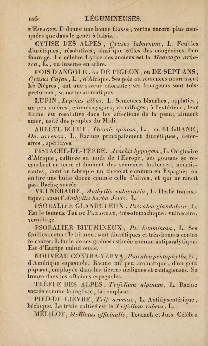 EEspagne. Il donne une bonne filasse ; vertus encore plus mar¬ quées que dans le genêt à balais. CYTISE DES ALPES , Cytisus laburnum, L. Feuilles diurétiques, résolutives, ainsi que celles des congénères. Bon fourrage. Le célébré Cytise des anciens est la Medicago arbo- îca, L. , ou luzerne en arbre. POISD ANGOLE , ou DE PIGEON , ou DE SEPT ANS, Cytisus Cajan, L. , d’Afrique. Ses pois ou semences nourrissent les Nègres , ont une saveur odorante •, ses bourgeons sont très- pectoraux , sa racine aromatique. LUPIN , Lupinus albus, L. Semences blanches, appîaties , un peu amères, emménagogues, vermifuges*, à l’extérieur, leur farine est résolutive dans les affections de la peau-, aliment amer, usité des peuples du Midi. ARRETE-BOEUF , Ononis spinosa, L., ou BUGRANE, O//, arvensis , L. Racines principalement diurétiques, détèr- sives , apéritives. PISTACHE-DE-TERRE, /Irachis hypogœa , L. Originaire d’Afrique, cultivée au midi de 1 Europe-, ses gousses se re¬ courbent en terre et donnent des semences huileuses, nourris¬ santes, dont on fabrique un chocolat commun en Espagne; ou en tire une huile douce comme celle d’olives, et qui ne rancit pas. Racine sucrée. VULNERAIRE, jinihyllis vuluc varia , L. Herbe trauma¬ tique; aussi Vjénthyllis barba Jovis, L. PSORALIER GLANDULEUX , Psoralea glandulosa , L. Est le fameux Thé du Paraguay, très-stomachique , vulnéraire, vermifuge. PSORALIER BITUMINEUX, Ps. bituminosa , L. Ses feuilles sentent le bitume, sont diurétiques et très-bonnes contre le cancer. L’huile de ses graines estimée comme antiparalytique. Est d’Europe méridionale. NOUVEAU CONTRÀ-YERVA^Psoralea pentaphylla,!,., d’Amérique espagnole. Racine un peu aromatique , d’un goût piquant, employée dans les fièvres malignes et contagieuses. Se trouve dans les officines espagnoles. TRÈFLE DES ALPES, Trifolium alpinum, L. Racine sucrée comme la réglisse , la remplace. PIED-DE-LIEVRE, Trif arvense, E. Antidysentérique, béchique. Le trèlle cultivé est le Trifolium rubens, L. MÉLXLOT, Melilotus ojjicinalis, Tournef. et Juss. Célèbre