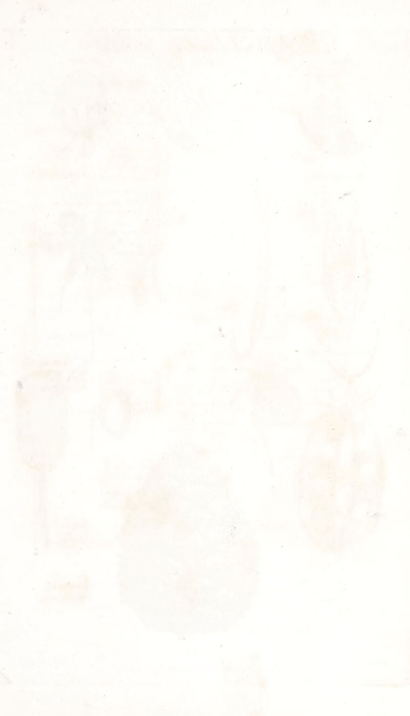 fllUsi tirl Jjondon, fuhU/hsd by ~Dr Thornton. Jan .j. uhz Fves iculy