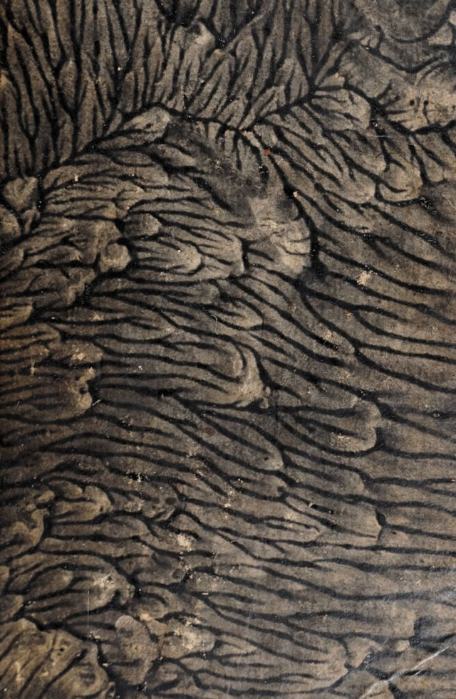 digitised image 1