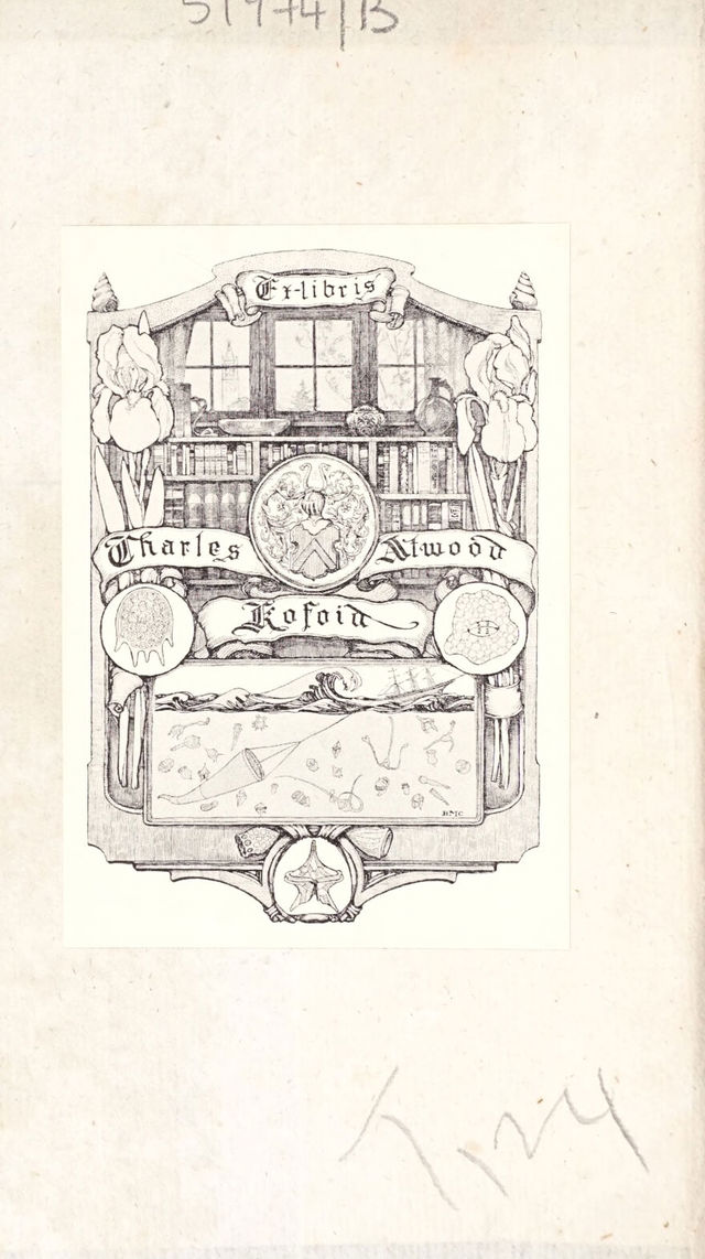 digitised image 2