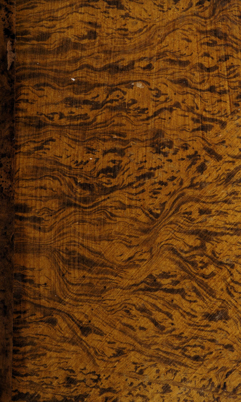 No text description is available for this image