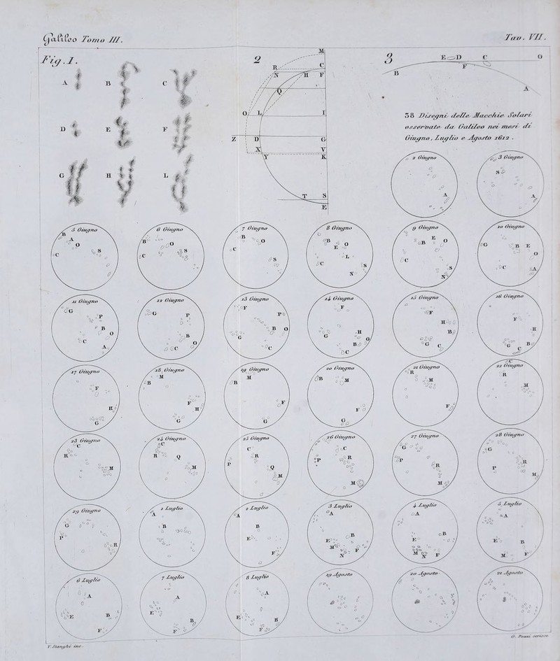 Zar/. /7/. Cjtlfili?o Torno ///. 5 8 J) ù'e/jni delle Jfaccidie Salari o.r.roroate da Iralilea nei meri di LriurjTLO, Liu/lio e rljj/osto 1612 ■ (r. Fammi .■vr*»>V'r*