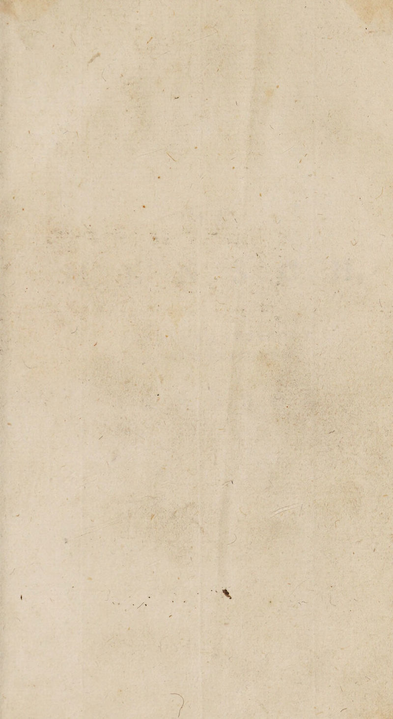 J X V . '3?, - .• - .‘4. 7 7, 7 - f /• L-