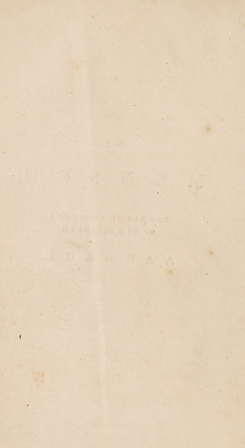 S'  Y . ‘ ^ , .1» , . \l> .\ 'n'V- I V » . • . ^ V ' - f \ V I