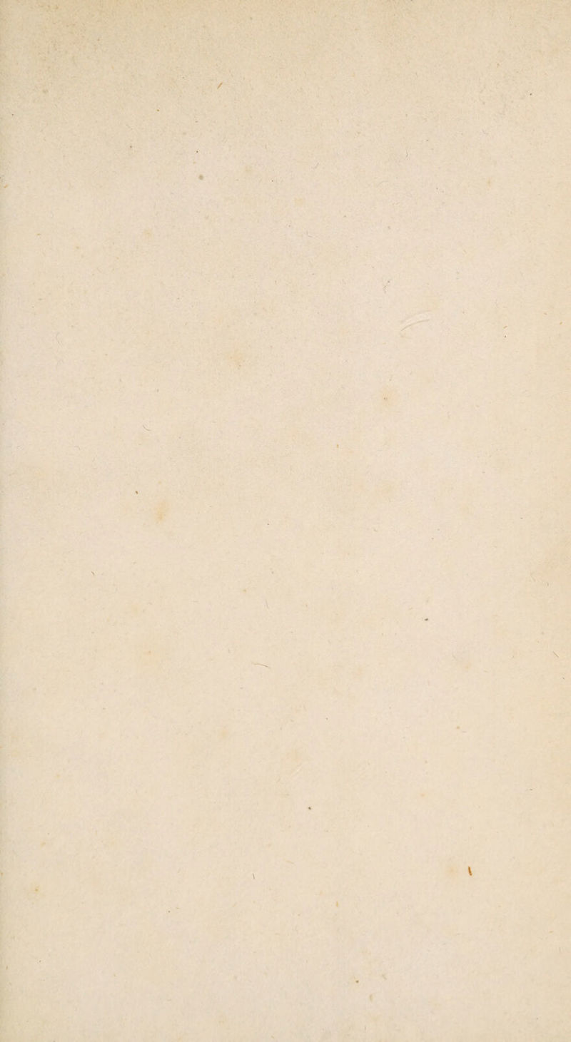 ‘ ■ / ' ) \ \ \ V