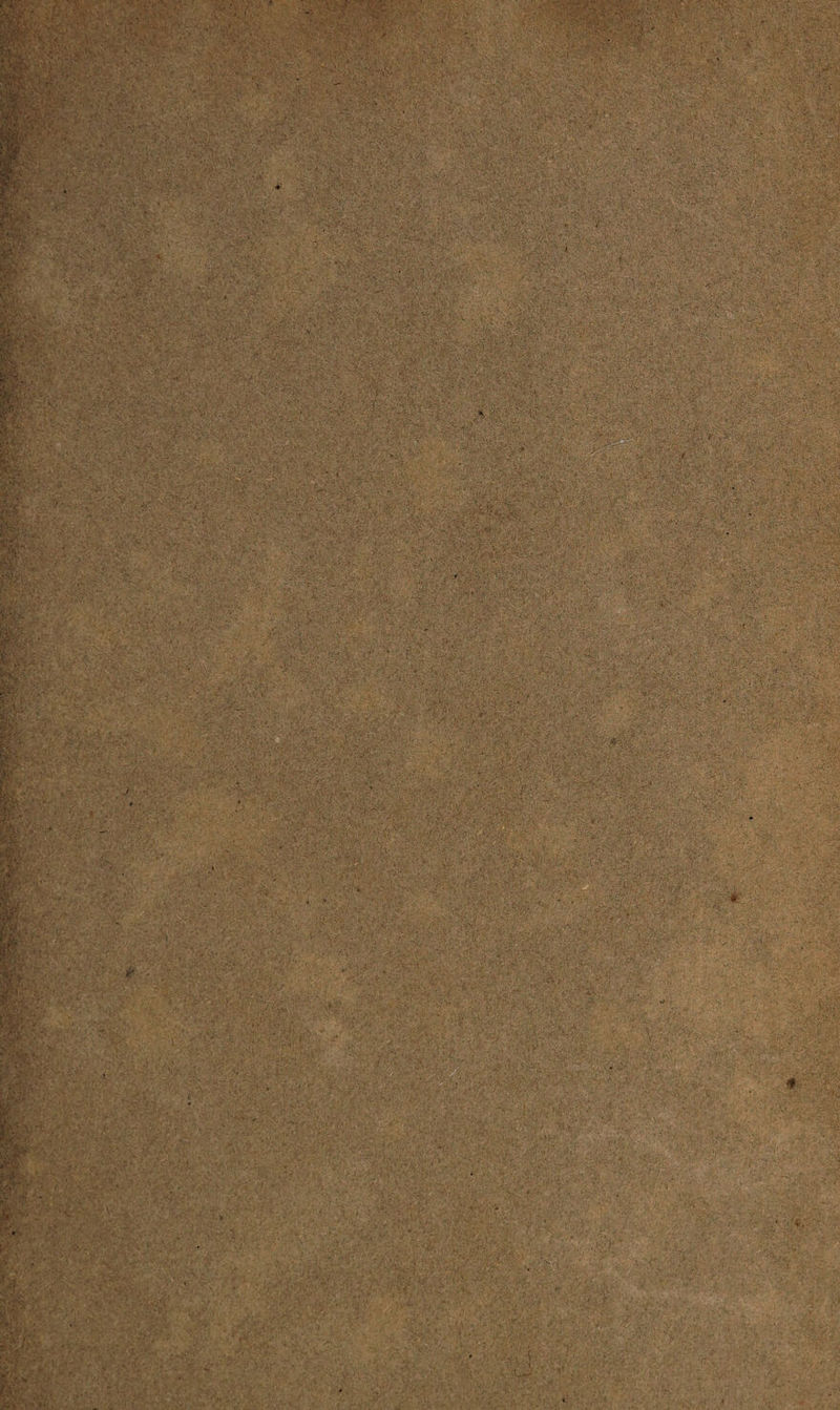 . ■ »,*Y'V .. ■ ' V.vE, Vv ■ fcv : ' ■ '■ \ . '•.tv..*' ' * 1 ;K‘v ; '» 'MM ■ t . m. ■$&& * .« •.-** #.■ v: •'? .• '.r*y ’• • ••'•■* v a. •- ■ , ., . ’ ■ • ; • : *.►. V J) * • ■ >. • /•„ **. v ■ • • * ‘ . ‘ 4