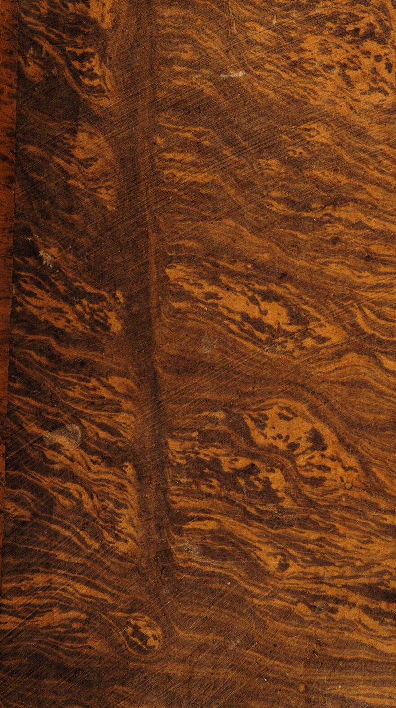 No text description is available for this image