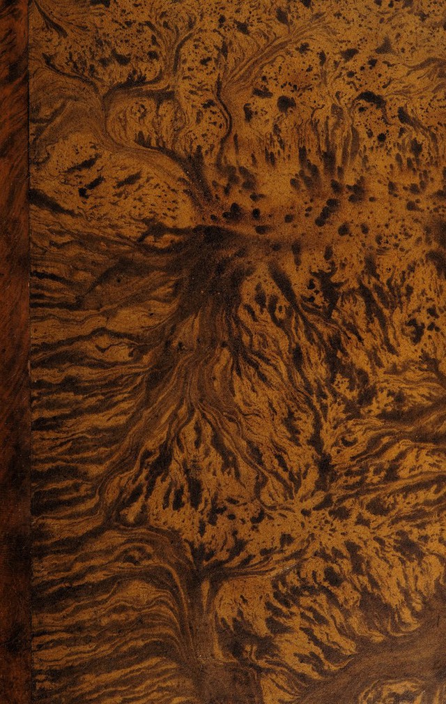 digitised image 1
