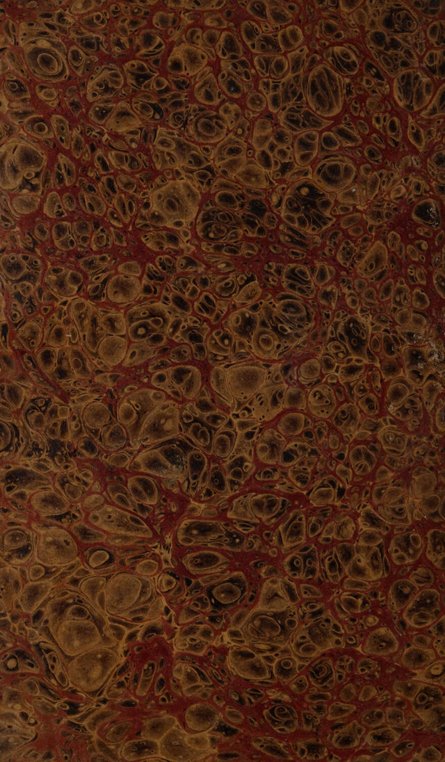 digitised image 2