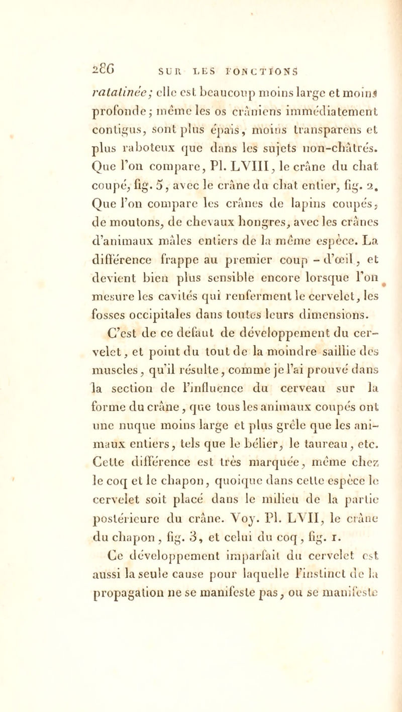 2 CG ratatinée; clic est beaucoup moins large et moins profonde; meme les os crâniens immédiatement contigus, sont plus épais, moins transparens et plus raboteux que dans les sujets non-chûtrés. Que l’on compare, PI. LVIII, le crâne du chat, coupe, fig. 5, avec le crâne du cliat entier, fig. 2. Que l’on compare les crânes de lapins coupés, de moutons, de chevaux hongres, avec les crânes d’animaux mâles entiers de la même espèce. La différence frappe au premier coup - d’œil , et devient bien plus sensible encore lorsque l’on mesure les cavités qui renferment le cervelet, les fosses occipitales dans toutes leurs dimensions. C’est de ce défaut de développement du cer- velet, et point du tout de la moindre saillie des muscles, qu’il résulte, comme je l’ai prouvé dans la section de l’influence du cerveau sur la forme du crâne, que tous les animaux coupés ont une nuque moins large et plus grêle que les ani- maux entiers, tels que le bélier, le taureau, etc. Cette différence est très marquée, même chez le coq et le chapon, quoique dans cette espèce le cervelet soit placé dans le milieu de la partie postérieure du crâne. Voy. PI. LVII, le crâne du chapon, fig. 3, et celui du coq , fig. r. Ce développement imparfait du cervelet cA aussi la seule cause pour laquelle l’instinct de la propagation 11e se manifeste pas, ou se manifeste