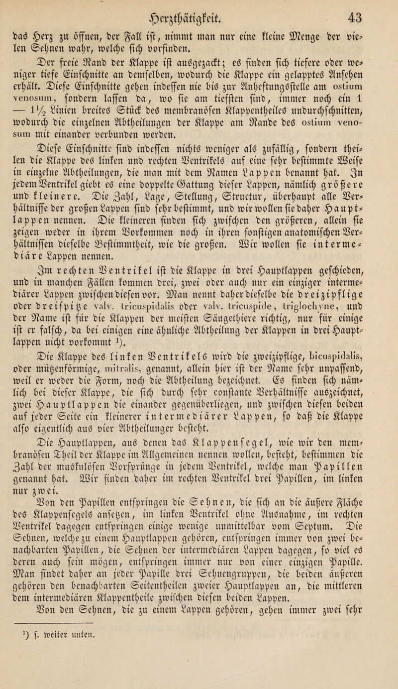 ba$ £erg gu öffnen, ber galt ift, nimmt man nur eine Keine Stenge ber ote* len ©eßnen waßr, weteße ftd; oorftnben* ©er freie 9?anb Oer Mappe ift auögegadt; eö ftnben fteß tiefere ober we* nt'ger tiefe (Jinfcßnitte an bentfetben, wobureß bte Etappe ein getappte^ 2tnfeßen erhält Diefe ©t'nfcßnttte geßen inbeffen nie bi$ gur ^tnßeftungöftede am ostium ’venosum, fonbern taffen ba, wo fte am tiefften ftnb, immer noeß ein 1 — iy2 Stnien breitet ©tüct beö membranöfen Mappentßeto unbur d;fcßnitten, wobureß bie einzelnen 2tbtßeitungen ber Etappe am ^anbe be£ ostium veno- sum mit einanber oerbunben werben* ©tefe (£infeßnitte ftnb inbeffen m'cßts weniger atö gttfädt'g, fonbern tßei* len bie Etappe be3 tinten nnb regten 23entrifet$ auf eine feßr beftimmte SEßet'fe in einzelne Ableitungen, bie man mit bem tarnen Sappen benannt ßat* Jtebern33entrifet giebt e3 eine boppette(Gattung bt'efer Sappen, nämtteß größere nnb Heinere* ©te 3aßt, Sage, ©tedung, ©tructur, überhaupt alte $er* ßättniffeber großen Sappen ftnb feßr beftt'mmt, nnb wir motten fiebaßer £aupt* tappen nennen* ©t'e Heineren ftnben fteß gwifeßen ben größeren, attein fte geigen weber in t'ßrent SSortommen noeß in ißren fonjKgen anatomifeßen 25er* ßättniffen btefetbe 23eftimmtßeit, wie bie großen* Sßir wollen fte tut ernte* biäre Sappen nennen* 3m reeßten 25entrifel ift bie Etappe in brei ipaupttappen gefeßieben, unb in maneßen gatten tommen brei, gwei ober aud; nur ein einziger interne* btarer Sappen gwifd;en biefen oor* Sttan nennt baßerbt'efetbe bie bretgipftige Ober breifpiße valv. tricuspidalis ober valv. tricuspide, triglochjne, unb ber staute ift für bie Etappen ber meiften ©äugetßiere richtig, nur für einige ift er fatfeß, ba bei einigen eine äßnlicße Stbtßeitung ber Mappen in brei£aupt* tappen nitßt oorfommt 3* ©t’e Mappe be3 tinten 25entrifet6 wirb bie gweigipfttge, bicuspidalis, ober mü^enförmige, mitralis, genannt, attein ßier ift ber sJlame feßr unpaffenb, weit er weber bie gorm, noeß bie 2tbtßeitung begeießnet. (£$ ftnben fttß närn* ließ bei bt'efer Etappe, bie fteß burd; feßr conftante 25erßättniffe auögeießnet, gwei ipaupttappen bie einanber gegenüberliegen, unb gwifeßen biefen betben auf feber ©eite ein tteinerer intermebiarer Sappen, fo baß bie Mappe atfo eigentlich auö oier 5tbtßettunger befteßt* ©ie ipaupttappen, auö benen baö $ tappenfeget, wie wir ben ment* branöfen Stßeit ber Mappe im SWgemet'nen nennen wollen, befteßt, befttmmen bie 3aßt ber muötutöfen 25orfprünge in febent 25entrifet, weteße man $5apitten genannt ßat* 2Btr ftnben baßer im reeßten 25entritet brei Rapiden, im tinten nur gwei* 23on ben Rapiden entfpringen bie ©eßnen, bie ftd; an bie äußere gtad;e beO Mappenfegetä anfeßen, im tinten 2Sentrifet oßtte 2tuönaßme, im redeten SSentrifei bagegett entfpringen einige wenige unmittelbar oom ©eptum* ©ie ©eßnen, wetdjegu einem fpaupttappen geßören, entfpringen immer oon gwei be* naeßbarten Rapiden, bie ©eßnen ber intermebiaren Sappen bagegen, fo otet e3 bereu and; fein mögen, entfpringen immer nur oon einer eingtgen Rapide. $?an ftnbet baßer an feber Rapide brei ©eßnengruppen, bie beiben äußeren geßören ben benaeßbarten ©eitentßeiten gwet'er ^aupttappen an, bte mittteren bem intermebiaren Mappentßet'te gwiftßen biefen beiben Sappen* 25on ben ©eßnen, bie gu einem Sappen geßören, geßen immer gwei feßr *) f. weiter unten.