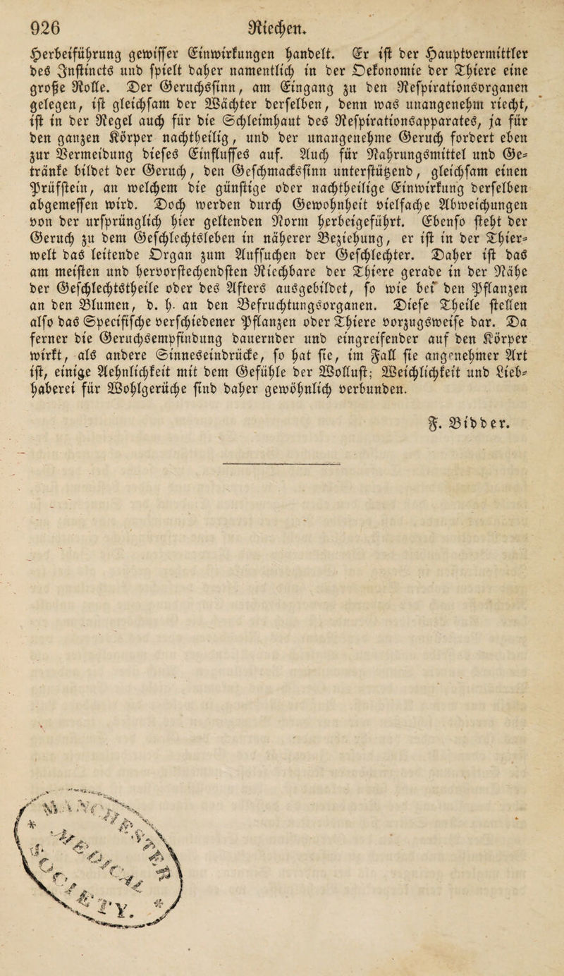 5. £)aö Riechbare, bie 9h'e<hßoffe, ftnb ber abaquate äußere 9?et'z für ben Nerv, olfactorius. 3Der Itmßanb, baß bte ©aöforrn biefer Oieize znm 3u»- ßanbekommen ber ©eruchSempfinbung unerläßlich iß, mact;t e$ begreiflich, baß nicht jeber bte dtafe treffenbe äußere Einfluß jene ©ntöfinbung ^error^ ruft; fo mirb biefelbe burch mechantfche uub galoanifche Heizung ber dtafen* fchletmhaut nicht erzeugt. Git'chtö befto ment'get kann fte ot>ne ade äußere Ur¬ sache lebiglich burch innere 3«ftänbe, namentlich beö dteroenfyßemtf, heröor* gerufen merben, mie in ben f^on oben ermähnten gäden *>on (Entartung im ©ehirn ober im ©eht'rntheile beö Nerv, olfactorius; auch bei hößerifd;en ^3erfonen, bei ^ranf^eiten beö £>armkanal$, be$ Uteruö nnb ber (Genitalien ftnb fubjectt’oe ©erüche beobachtet morben 1). 2)ie ©tärke ber ©erudjöempftnbung fcheint oon ber ©röße ber afftcir^ ten ©chletmhautßäche abjuhängen, alfo oon ber 3<*hl ber Heroen, bte oon bem D^iechftoff gleichzeitig afftcirt mürben. 3Bir riechen beffer bei Eröffnung betber diafentöcher, al$ menu nur bas3 eine offen iß, obgleich auch im letzteren gade bt'e ^Beurteilung ber fpeciftfchen SSerfc^ieben^eiten be$ ©erochenen un* getrübt bleibt. (Ermachfene, bet betten bie 9?afenhöf)te geräumiger nnb bie SDiufchetn auögebt'Ibeter ßnb, bekanntlich einen feineren ©erudtßnn, al3 finber; au3 bemfelben ©runbe riechen ^3erfonen mit meiten sJtafenIö ehern nnb mit tanger oorftehenber 9^afe in ber Siegel beffer, al$ bie mit enger unb Heiner diafe; bt’efelben 23erhältniffe bebingett enblich auch £fnerett eine größere ©d)ärfe be£ ©eruchetf. Uebrigenö kann biefelbe auch burch Hebung beträchtlich geßet'gert merben; fo merben bte norbamertkanifchen SBilben nt'djt feiten burch ben ©eruch^finn beim 2Iuffpüren ber gäljrte ihrer getnbe geleit tet. — 9)?it ber @chärfe fädt auch gemöhnlich bie Reinheit be<3 ©erucheö zu* fammen, b. h- bt'e gähigkeit, feßon geringe Itnterfchiebe ber ©erüche mahrzu¬ nehmen; fo mt'rb ber Apotheker nahe oermanbte mebt'camentöfe ©erüche, bie anberen hierin ungeübten ^erfonen oodkommen ibenttfeh zu feftetnen, fehr mohl unterfchet'ben; fo erkennen manche Merzte gemt'jfe franfheiten, z*23. Wafern, ©charlach tc., burch ben fpeciftfchen ©eruch ber 2Iu$bünßungöma* tert'e bed Patienten, unb anbere beßimmen nach bem ©eruche mit ber größten (Sicherheit, ob eine grau menftruire ober nicht. SDt'e ©eruchöernpfinbung unterfcheibet ftch oon anberen ©inneömaßr* nehmitngen baburd), baß fte in ber Siegel oon einem ganzen dteroenpaar in feiner Totalität oermittelt mirb. 2)ie ©ehörtfempftnbung ift ihr bart'n frei« Itd) ähnlich, mirb inbeffen bod; nicht fo gleichmäßig oon ben Heroen beiber ©eiten übernommen. 2)urch biefe bet'ben ©inneöorgane mtrkt baher bie Slußenmelt auch weit t'ntenfioer auf ba3 ganze dteroenfyßem, a!6 bie Netzhaut ober bie £aßneroen, bie oon ben betreffenben ©tnbrüden meißenö nur par= tt'ed getroffen merben. heftige ©erüche können 23emnßtlcfigkeit unb £>hn* macht erzeugen, aber eben beßhalb bei adgemeiner S^ci^tofigfcit auch Söelebungömittel angemanbt merben, unb e3 iß bekannt, baß e3 nicht feiten gelingt, burch etne unter bie diafe gehaltene gebrannte geber £)hnwtachten zn heben. — 2lußer biefem ©inßuß auf ben ©efammtorganiSmuö fyalen bie ©erüche auch noch örtliche äßirkungen, thet'13 auf ba$ ©eruch$organ felbß, theilö auf entferntere Xhet'Ie. ©tarke ©erüche erzeugen ^afenbluten, mie bt'eS namentlich ber 99?ofchu$geruch beim 2lbnehmen ber dftofchuöbeutel thün fod; ber heftige 3^et'z auf bie centripetalen Heroen fc^eint auch ^ter nntago- nißifd; erf^Iaffenb auf bie ©efäße ber diafenfchleimhaut zu mirken, unb 2Iu3* x) ©tehe fo!<he güde jufaminengeftedt bet Otomberg, a. a. £). ©. 119.