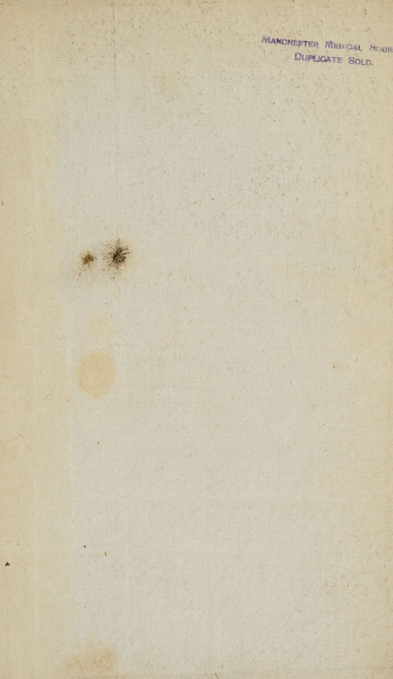 ’ä v, t. ;; t »;+ . ‘ ' '' »woHErreä WjEbie^L DfsnjCATE Sold.