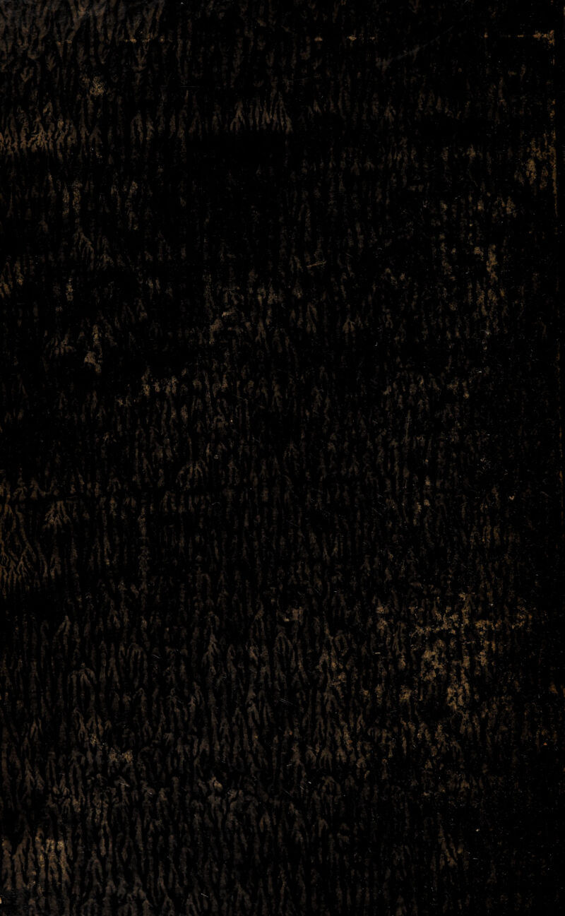 * % ■#*' : f . Jkl* v> • ' PÄ‘‘« »U,A% ■ - •:•* . * ■ ;■ •?| ^ ! X , » T f/§ «aL f « ■' /■•'•■■- ■ VJI! | : ■ . ** v • 'f-. ■ f;. *' • fk «4? Ä- • ■ V '? - 4^.4 ft IX» * • . , .4 j ' ■ l' ■ v & ; . ; ft . ;• v  ‘ ? ft ^ v 4* - ft. y4 ^ * * .ft .$ ':• ft ■ - •ft i ; 4. fj- ^ ’' \ n '•• B 1 fj-h- k, L v*  v ■;■■• ■ ' ' .-•• •, )■■.■' ft- ■ ' . . ' A. ' * ••' ~ •- . ; ■.■>•.■'■',• ■ Xs #* Ll ->• ■ £ > ./■ ft v. . (; J .• • .*•- : 7 ' . . . 4 ■'. ' K ■ - .■• YA- ' • V ■ Üt* I PfrdLl -& JfeT/ft ifVf < -Ä ft ; ’ •’ • ■ |4v —• 'r - ■: P ft ft*:' . ‘ *■*51 V ..ft ■ \ '+ Sl d fyh* * * • VS'- • • -.r . j ' % v v ■ :'l: '■ • >\ ft- ^ P* ■. rf ^ s Vfwl'! t ’ iXM-Jii. ft ik ® * * -ft ■ - . ■ ;• 2 - ’ - ft . ;  • - ■& -•> * - ■ ■- • - :• -.. • 1 ^ -• 35 / • >*if /» n < *. • .• - - - ' , . ■ :. ft. 'ft : ; ■• .v ft . , •‘ r . ,ft, ! * . ' ~ ' •!ft «I « • '• *: ■Sf ik \K ' ' -•• ■:%t je ^ ft ♦* iife» r p ft '4 &j>4 . .v. : ■- »v, '■* ' '• ft ' ft ^ . f ftr/ ; .1' • 'r * t « W* */ A «* ft