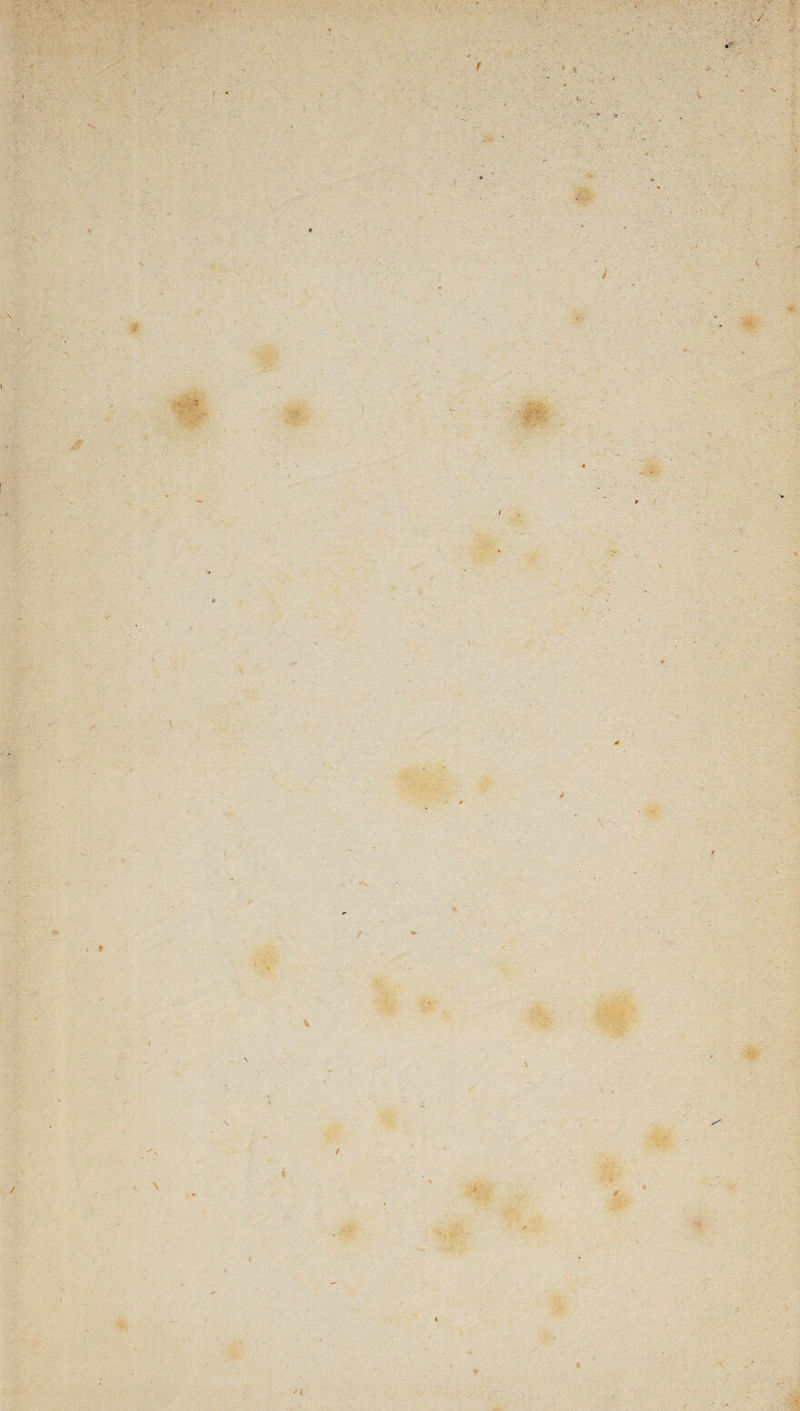 4 i V \ >: ■ ‘ • V =*. \ M #; ' t * * \ X1 k i /i ie /