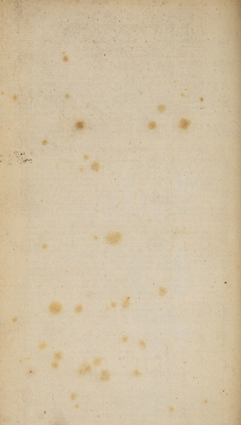 \ ■ ■' - * / -■ ■E K ■4&S ' I