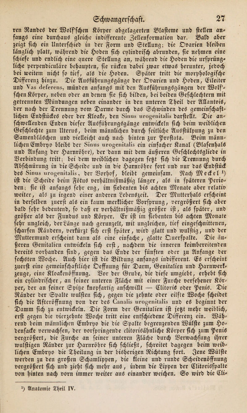 ren 9?anbe3 ber SBotffcpen Körper abgelagerten 33Iaftente unb ftetfcn an* fang3 eine burcpauS gtetdje t'nbt'fferente 3ettenformation bar. SBatb aber 3eigt ftep ein Unterfcpieb tu ber gornt unb ©tettung; bie Unarten bleiben lanQtic^ platt, wäprenb bte £oben ftep cptinbrifcp abrunben, fte neunten etne fcpt'efe unb enbXtcp etne quere ©tettung an, wäprenb bte £oben bte ttrfprüng* Xtcpe perpenbicutäre behaupten, fte rüden habet $war etwas herunter, febocp bet weitem ntcpt fo tiefr aTS bte ipoben. ©pater tritt bte morppotogifcpe Differenz pt'n^u. Die 2luöfüprungSgänge ber Dvart'en unb £oben, (Eileiter unb Vas deferens, ntünben anfangs mit ben 2luSfüprungSgängen ber 2Botf* ftpen Körper, neben ober an benen fte fitp bttben, betbetben (Befcptecptern mit getrennten 9)?ünbungen neben etnanber in ben unteren Streit ber MantoiS, ber nach ber Trennung oom tarnte burcp baS ©d;winben bet? gentet’nfcpaft* liefen (ÜEnbftüdeS ober ber $toafe, ben Sinus urogenitalis barftettt. Die an* fcpwettenben (£nben btefer 2luSfüprungSgänge entwtdetn ftep beim wet'blt'cpen ®efcptecpte §unt Uterus, beim männttepett burcp feittiepe 2tuSftütpung $u ben ©amenbtäScpen unb vt'edet'cpt auep naep pinten $ur ^3roflata. S3etnt männ= ticken ßunbrpo bleibt ber Sinus urogenitalis ein einfacher $anat (SMafenpatS unb Anfang ber ipantröpre), ber'bann mit bent äußeren ©efcptecptSgtiebe tn SSerbtnbung tritt; bei bern weibtiepen bagegen fe$t ftep bie ^rennnng burcp 2tbf&lt;pnürung in bie (Scheibe unb in bte £arnröpre fort unb nur baS @:nbftüd beS Sinus urogenitalis, ber 33orpofr bleibt gemetnfant. Stfacp Siedet *) ift bie ©treibe beim götuS verpättnißmäßtg länger, atS in fpäteren ^perio* ben; fie ift anfangs fehr eng, im ftebenten bis achten Monate aber relativ weiter, atS $u irgenb einer anberen SebenS^eit. Der 9)?utterpatS erfc^etnt in berfetben juerft atS ein taurn merftieper SSorfprung, vergrößert ftep aber halb fehr bebeutenb, fo baß er verpättnißmäßig größer ift, atS fpäter, unb größer atS ber gunbuS unb Körper, (£r ift im ftebenten bis aepien Monate fehr ungleich, ber Sänge natp gerunzelt, mit ungleichen, tief eingerittenen, feparfen Räubern, verfügt fcp erft fpäter, wirb glatt unb wutftig, unb ber SD?uttermunb erfepeint bann atS eine einfache, glatte Duerfpatte. Die äu* ßeren (Genitalien entwidetn ftch erft t naepbent bie inneren feimbereitenben bereite oorpanben ftnb, gegen baS (£nbe ber fünften ober $u Anfänge ber feepsten Socpe. 2lucp pier ift bie SMbung anfangs inbifferent. (£s erfepeint $uerf eine gemeinfepafttiepe Öeffmtng für (Darm, (Genitalien unb £arnwerf= jeuge, eine tloafenöffnung. 3Sor ber ©rube, bie biefe umgiebt, erpebt ftep ein eptinbrifeper, an feiner unteren gtäcpe mit einer gurepe verfepener ^ör^ per, ber an feiner ©pt£e fnopfartt’g anfepwittt — (JtitoriS ober ^5ent^. Die 9tänber ber ©patte wulften ftep, gegen bie jepnte ober eitfte SÖocpe fepeibet ftep bie 2tfteröffnung oon ber beS Ganalis urogenitalis unb eS beginnt ber Damm ftep ^u entwidetn. Die §orm ber (Genitalien ift je|t mepr weibtiep, erft gegen bie oierjepnte SBocpe tritt eine entfepiebene Differenz ein. SBäp* renb beim männtiepen (Jmbrpo bie bie ©patte begrenjenben SfBütfte jum §o^ benfade oerwa^fen, ber oorfpringenbe ctitoriöäpnticpe Körper ftep ^um ^3eniö vergrößert, bie gurepe an feiner unteren gtäcpe burep ^Berwacpfung tprer wulftgen ^tänber ^ur ^arnröpre fiep feptießt, fepreitet bagegen beim wetb^ tiepen (Jmbrpo bie ^peitung in ber bisherigen D^icptung fort. 3ene 2ßütfte werben ju ben großen ©epamtippen, bie fteine unb runbe ©epetbenöffnung vergrößert ftep unb jiept ftep mepr au3, tnbem bie Sippen ber (Jtitoriöfpatte von pinten naep vorn immer Wetter attö etnanber weiepen. ©o wirb bie (£ti* !) Anatomie Xpett IV.